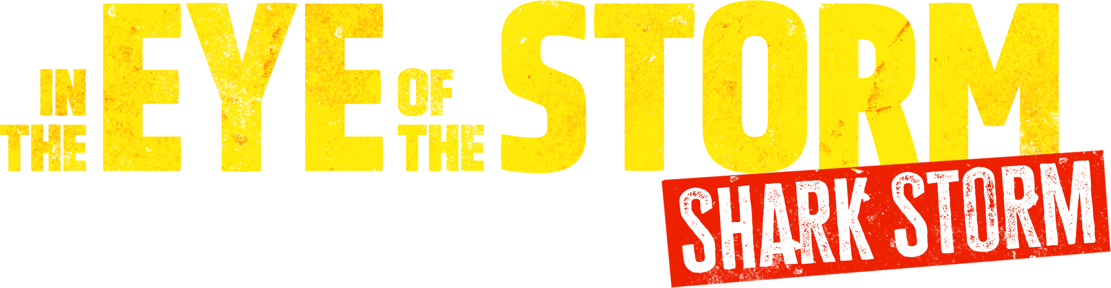 In The Eye Of The Storm: Shark Storm movie logo