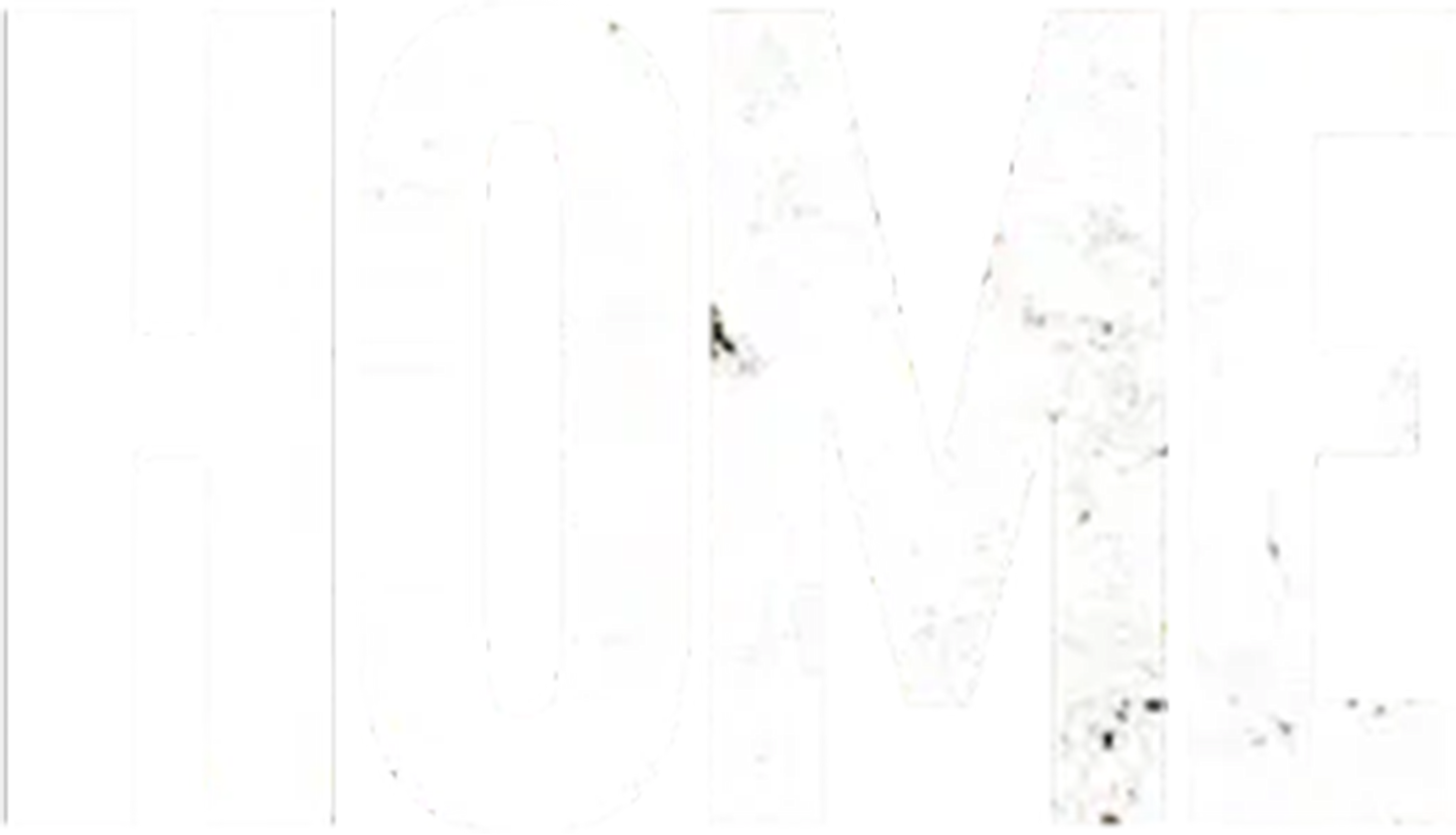 Home movie logo