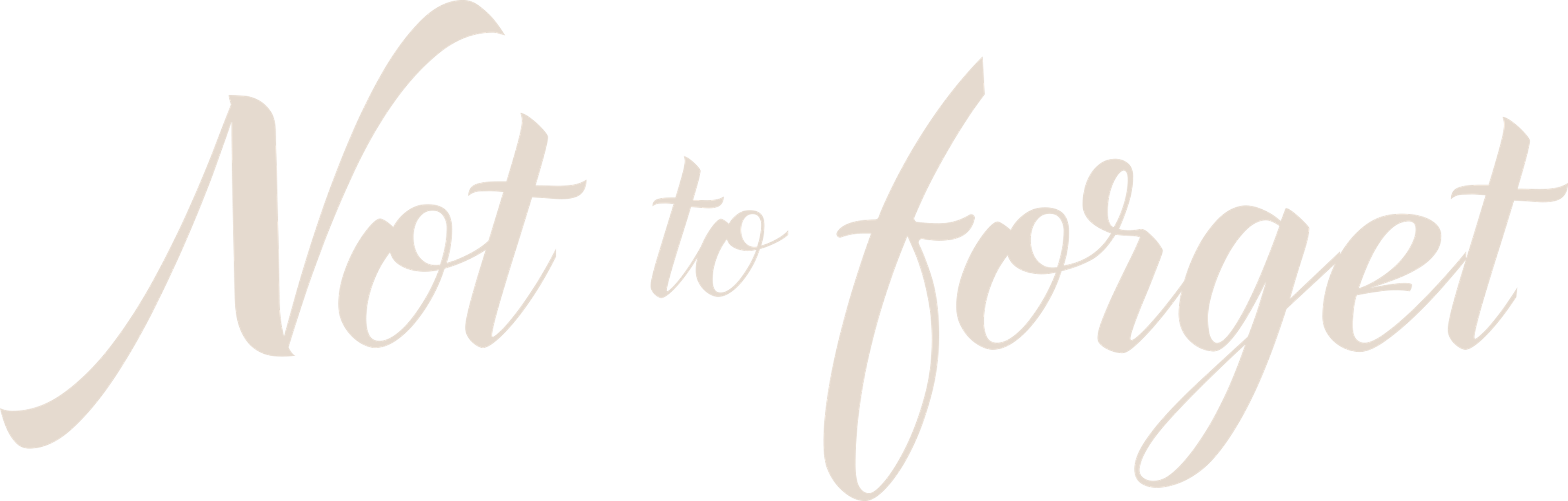 Not to Forget movie logo