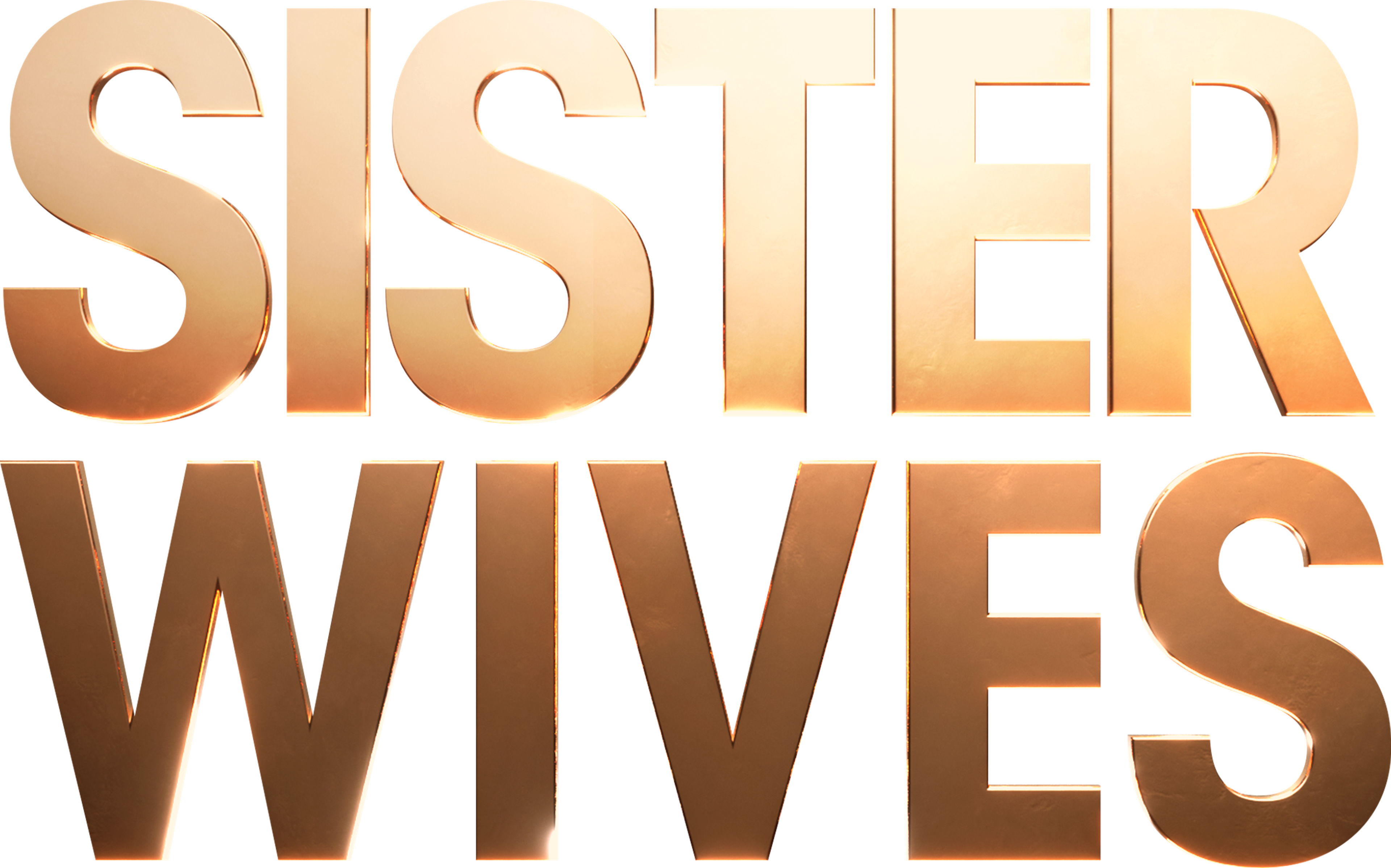 Sister Wives series logo