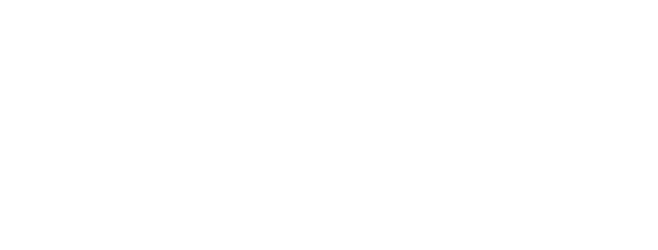 سيستر وايفز series logo