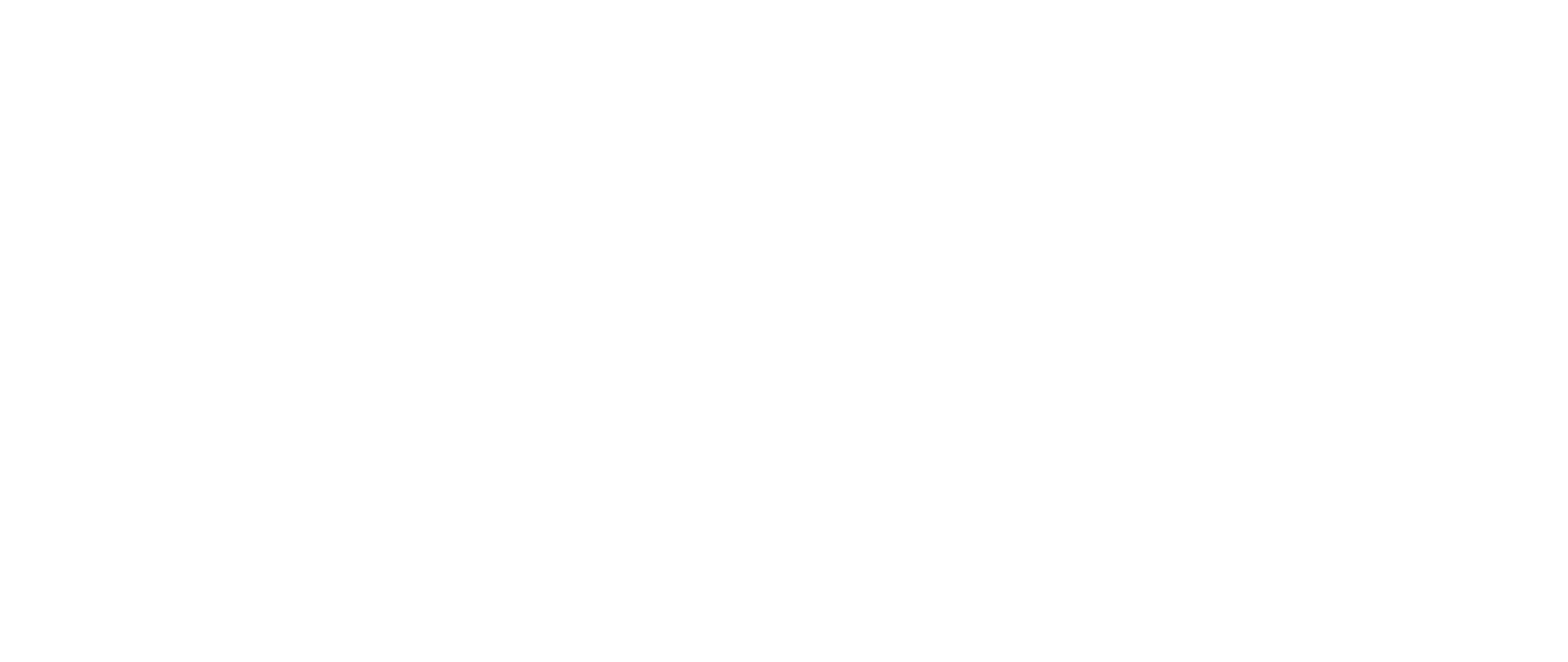Dash Dolls series logo