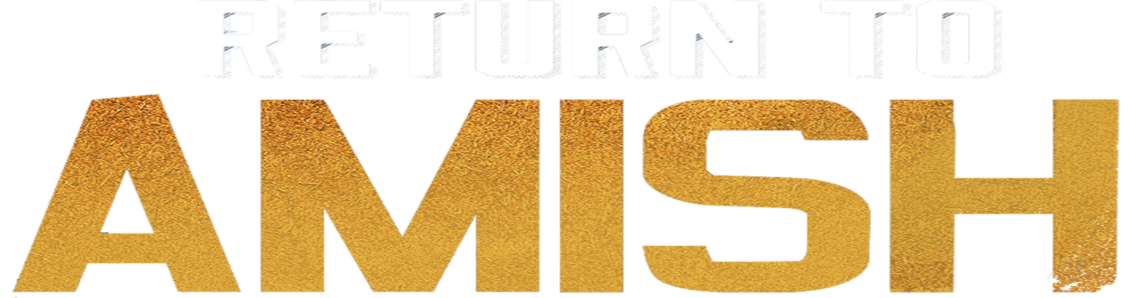 ريترن تو أميش series logo