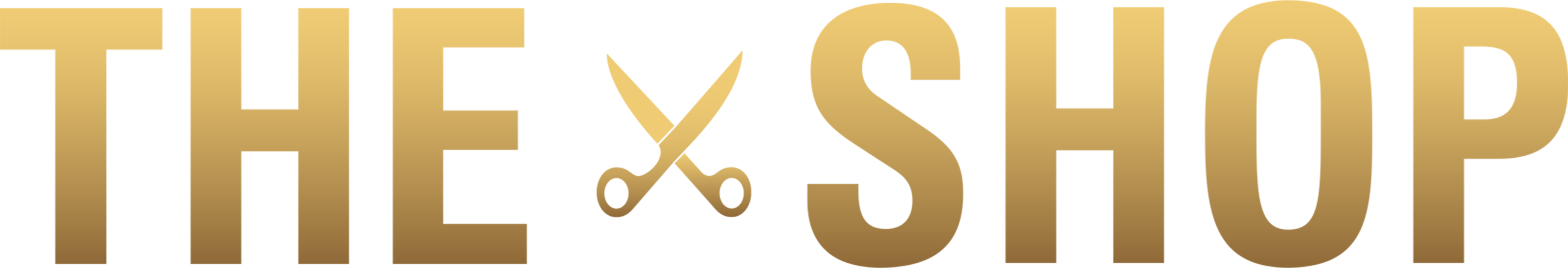 The Shop series logo