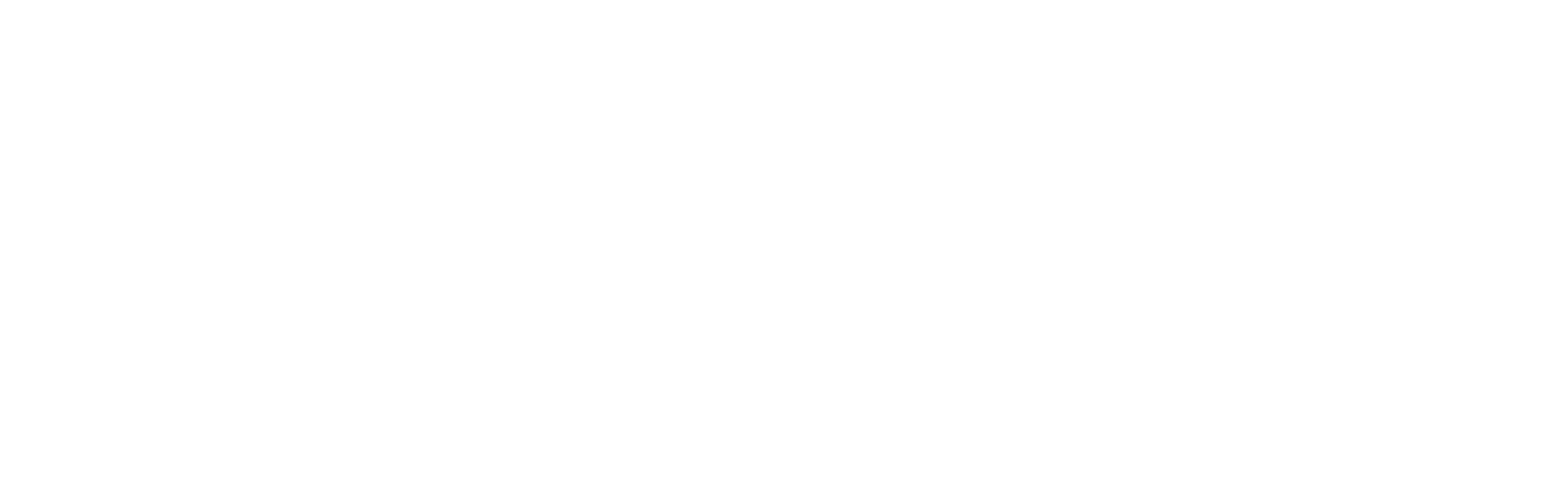 The Tourist series logo