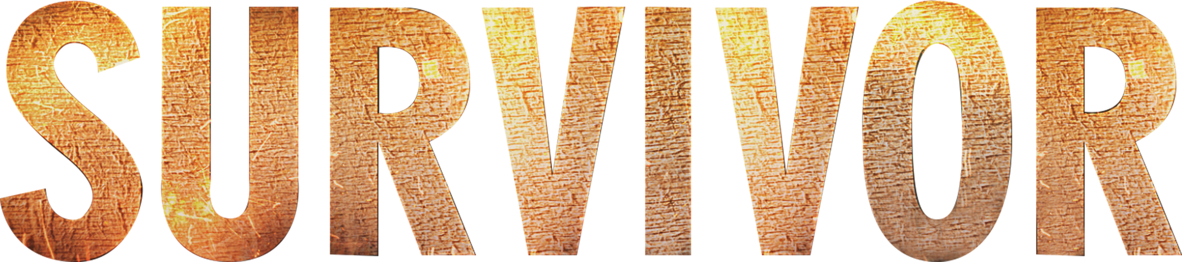 Survivor series logo