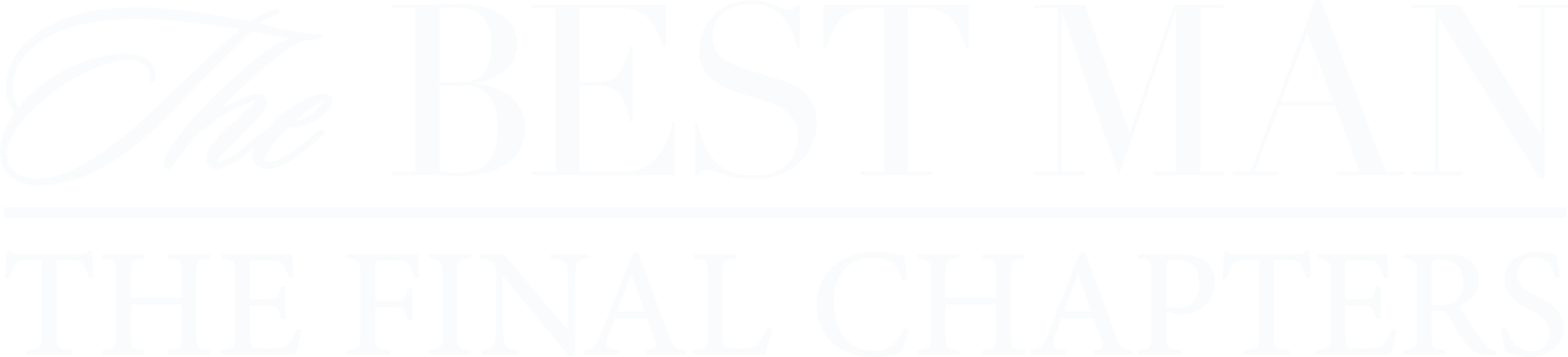 The Best Man: The Final Chapters series logo
