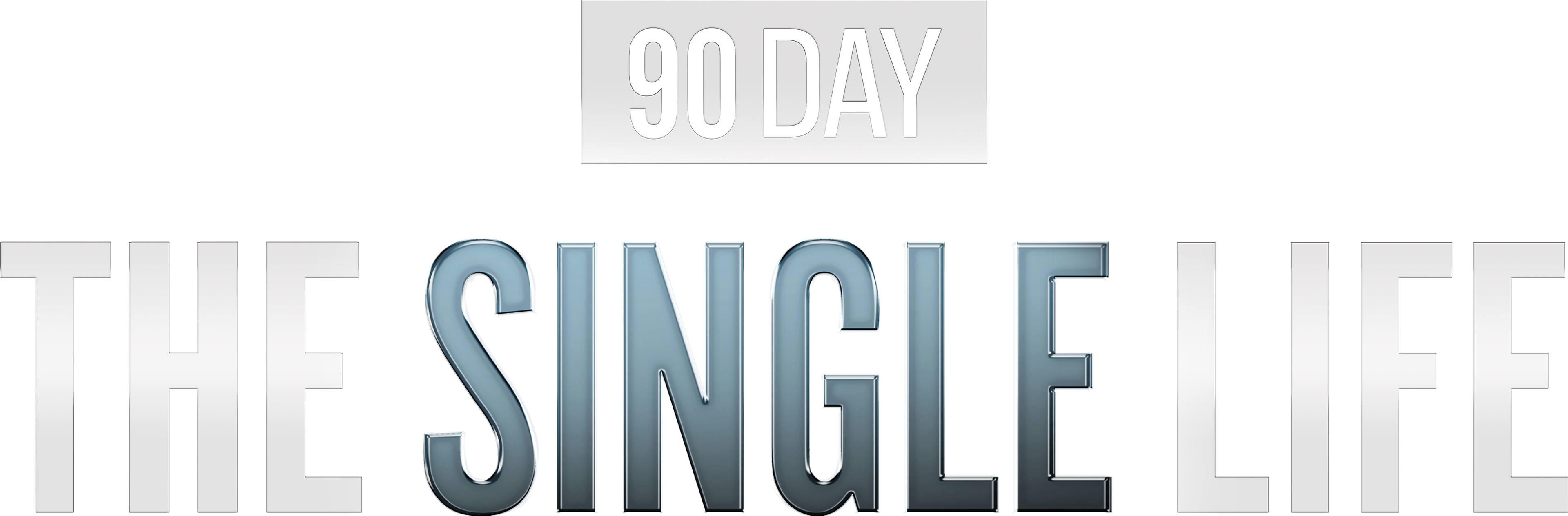90 Day: The Single Life series logo