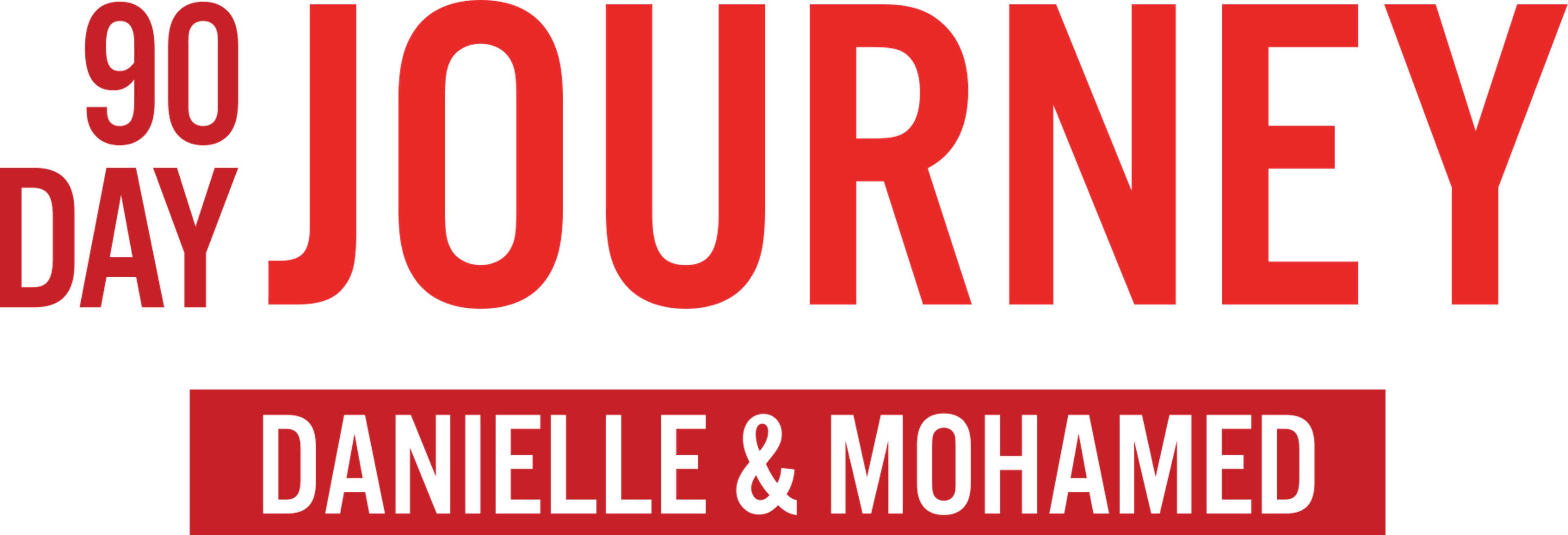 90 Day Journey: Danielle & Mohamed series logo