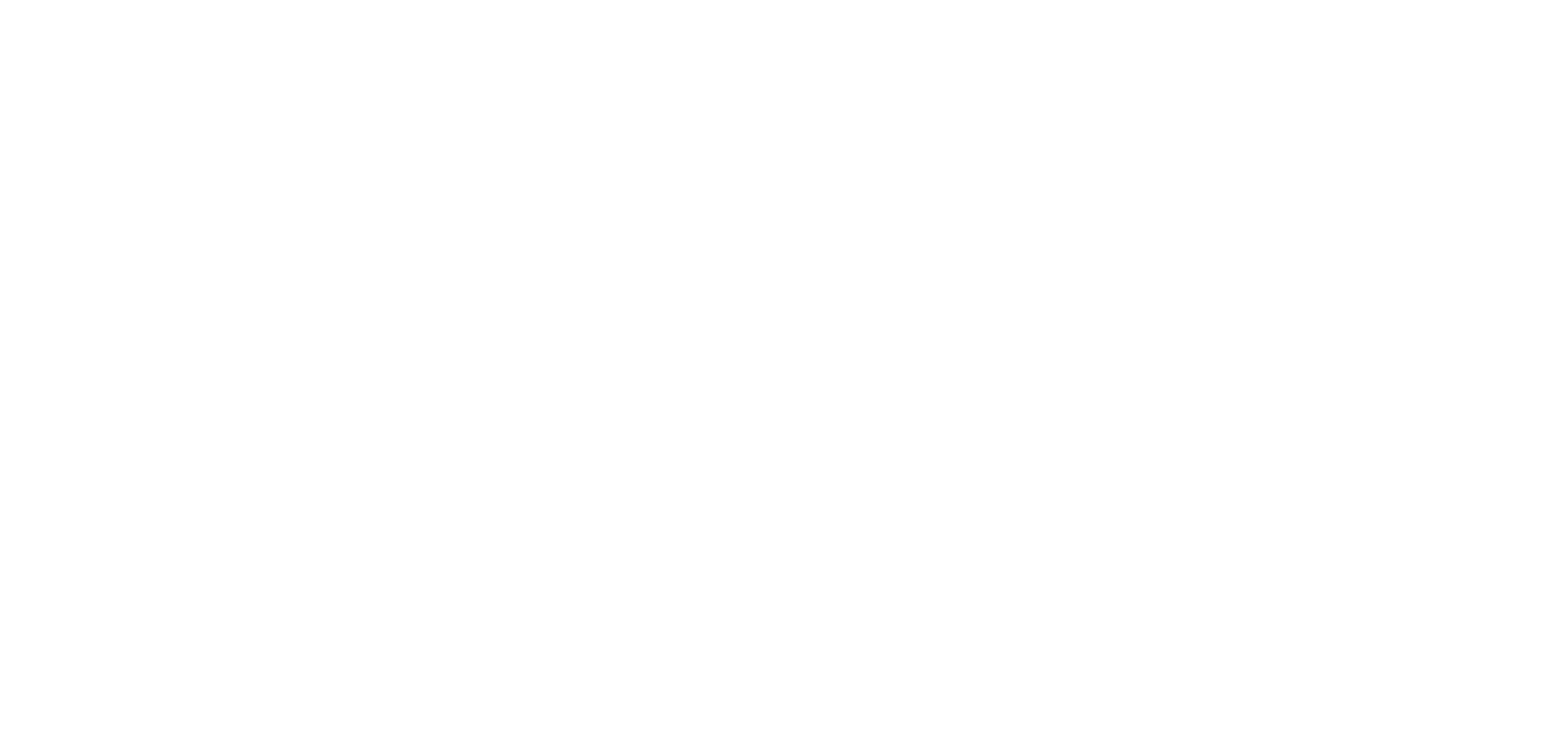 Crikey! It's The Irwins series logo