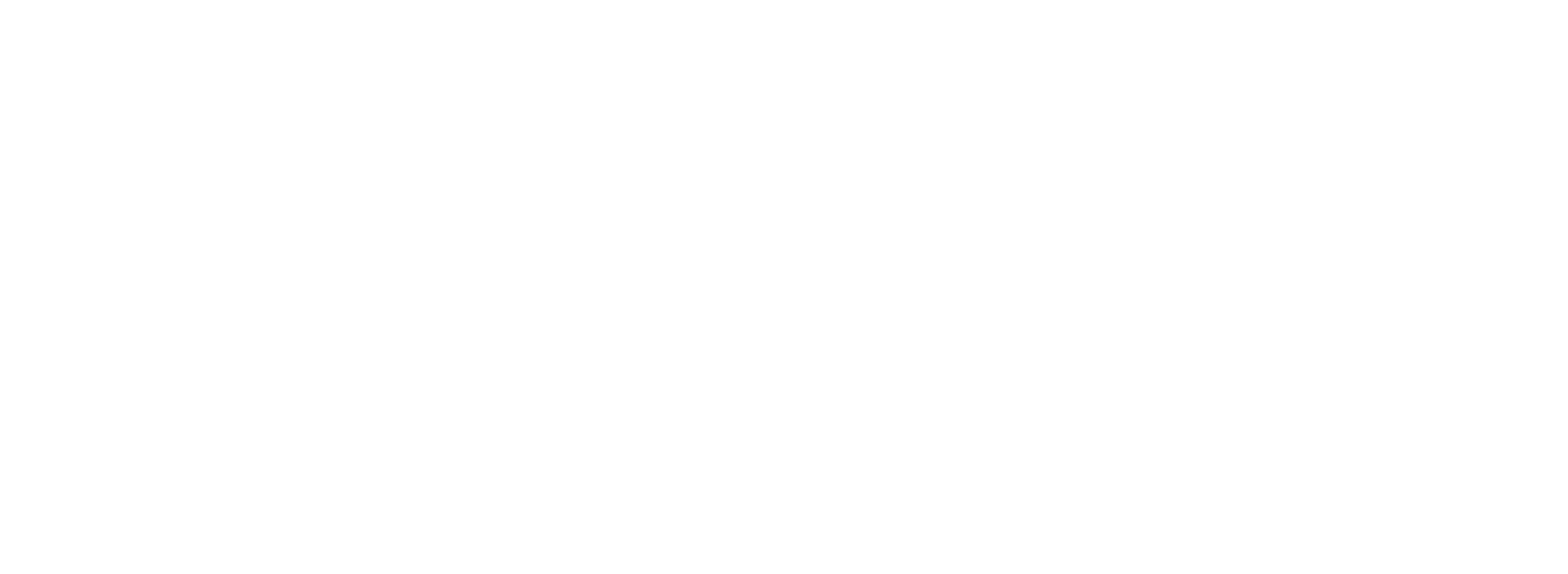 911 Crisis Center series logo