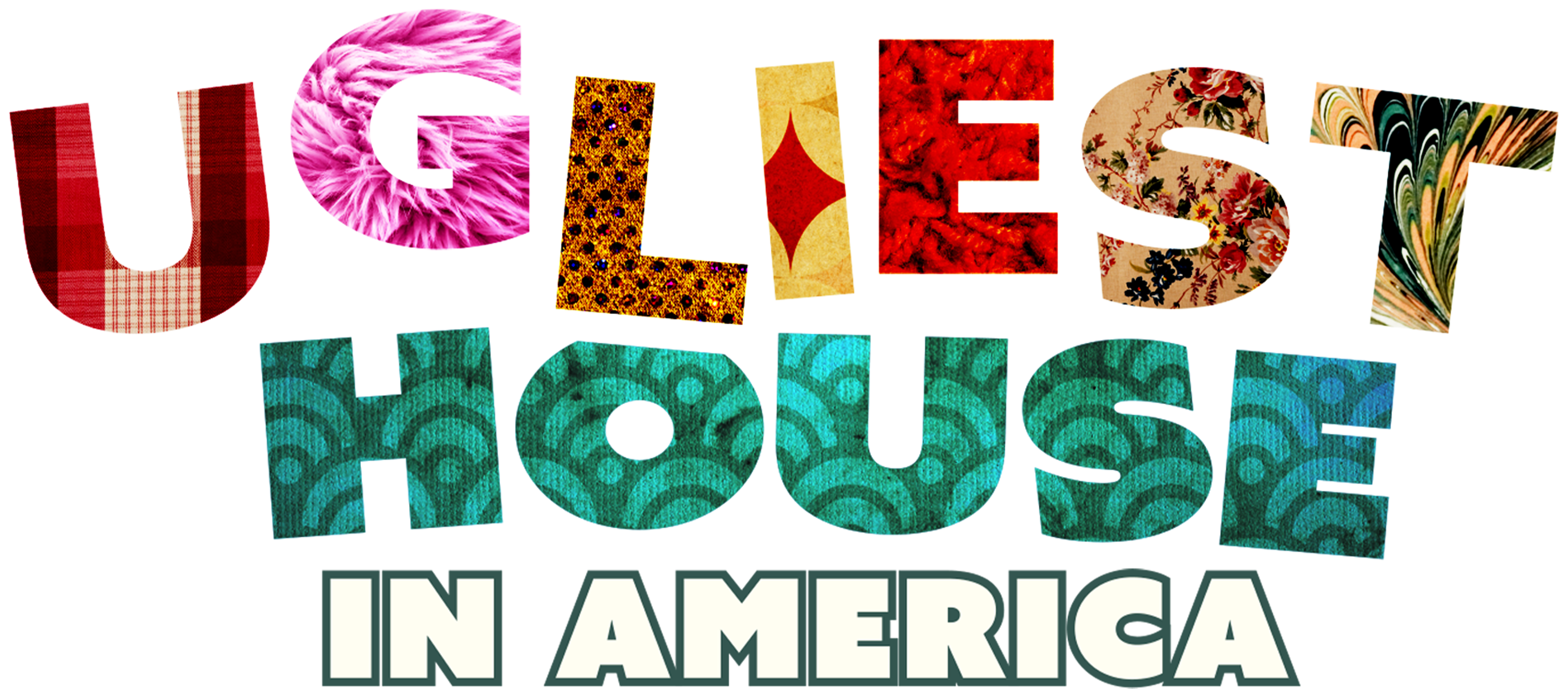 Ugliest House In America series logo