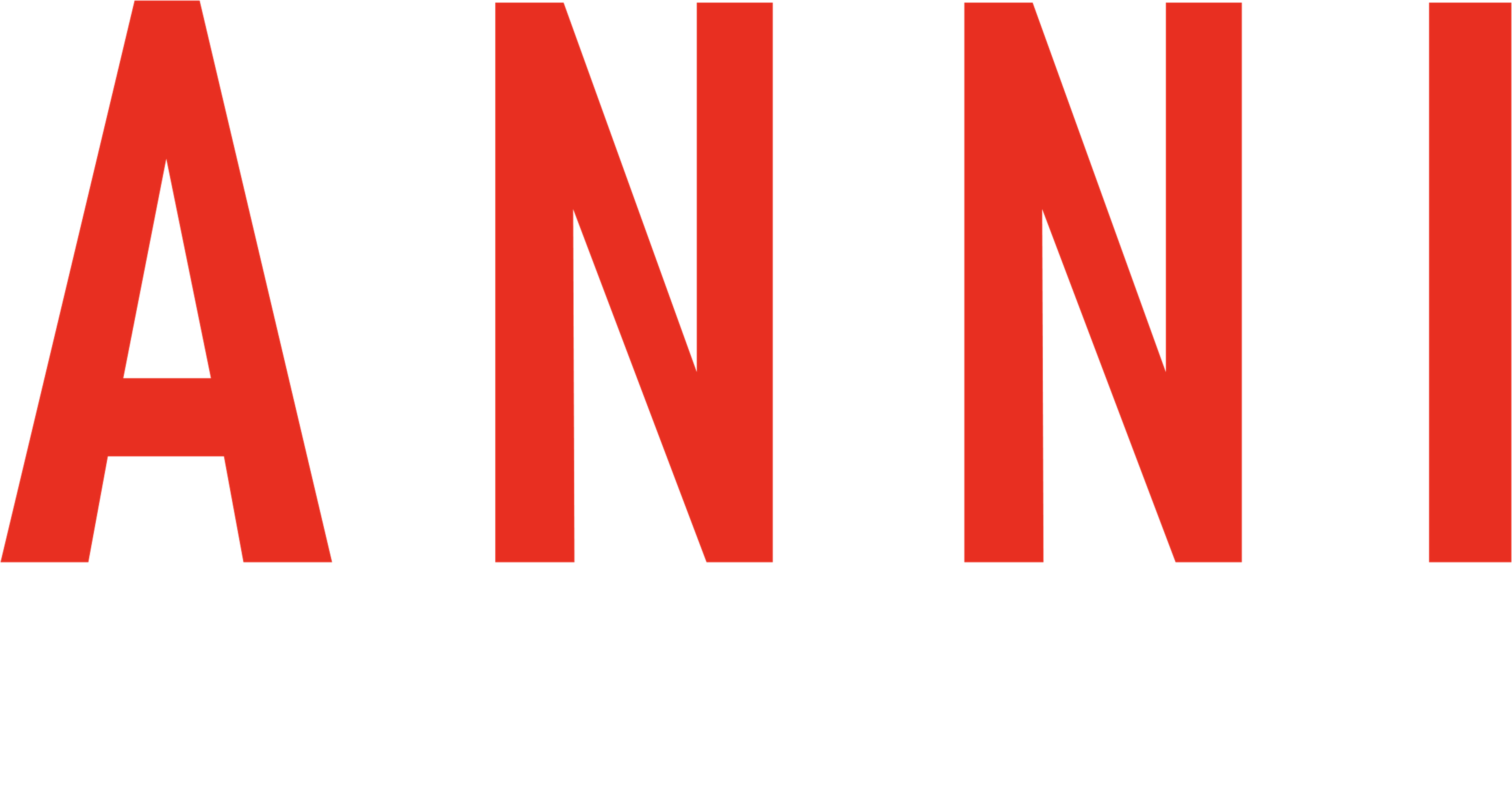 Anni: The Honeymoon Murder series logo