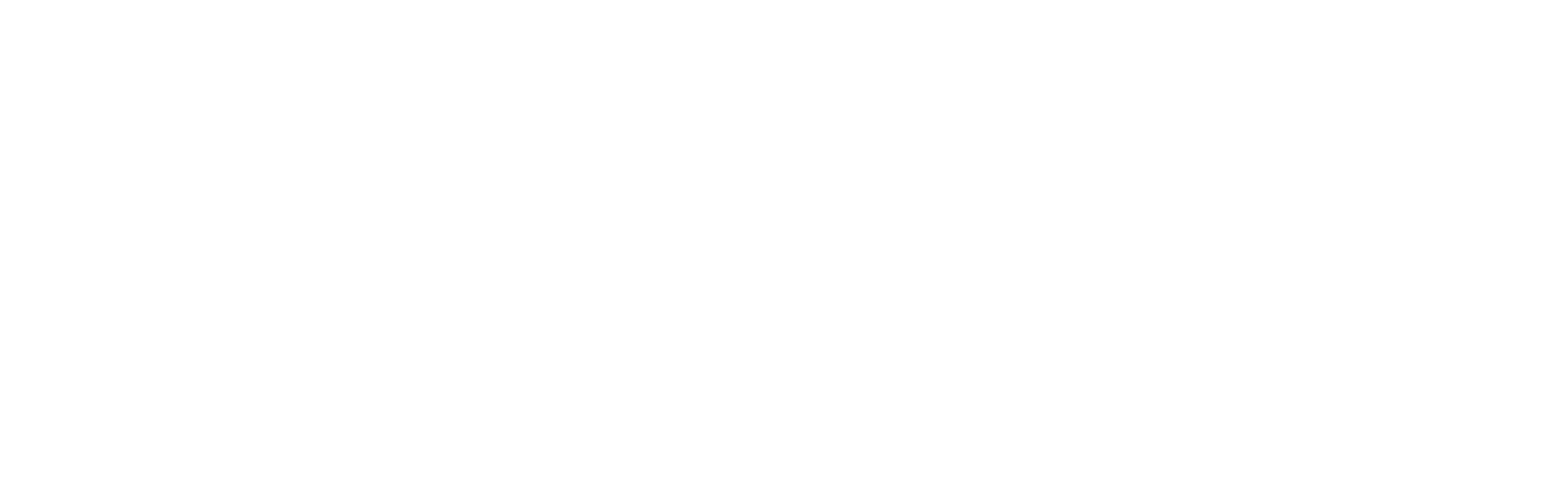 Small Town Potential series logo