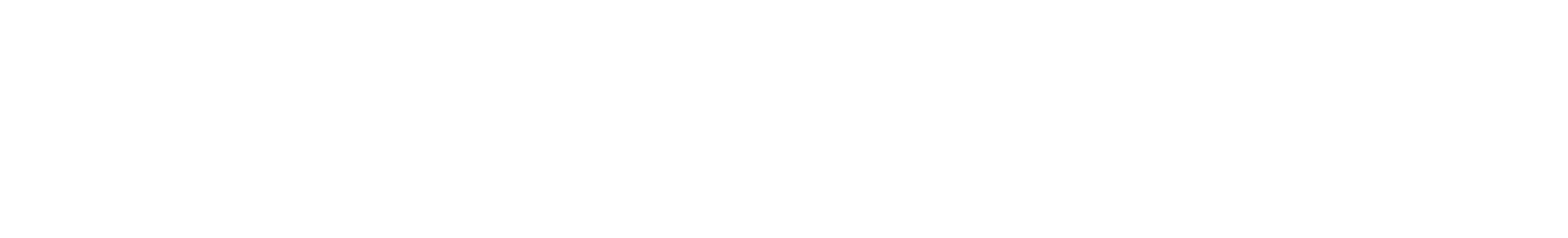 تكساس ميتال series logo