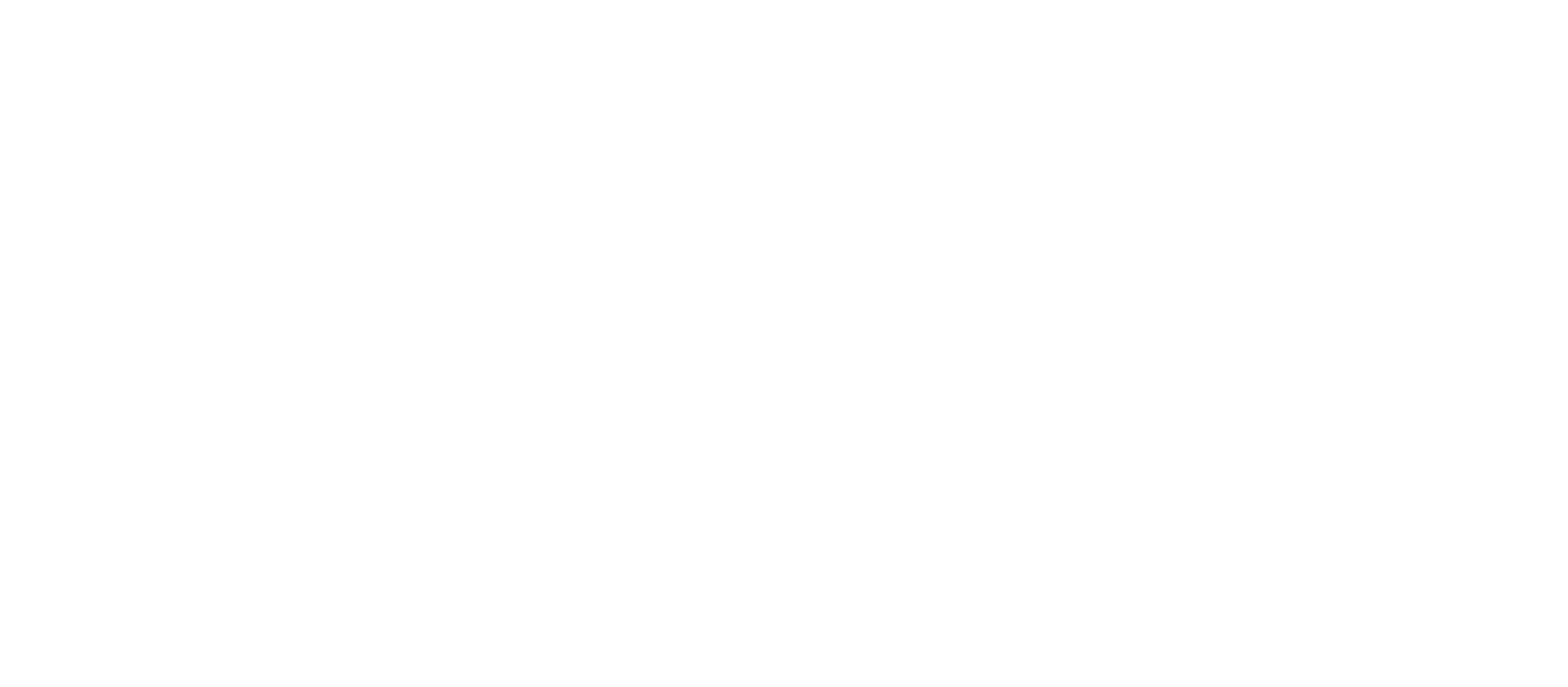 Ant Anstead: Born Mechanic series logo