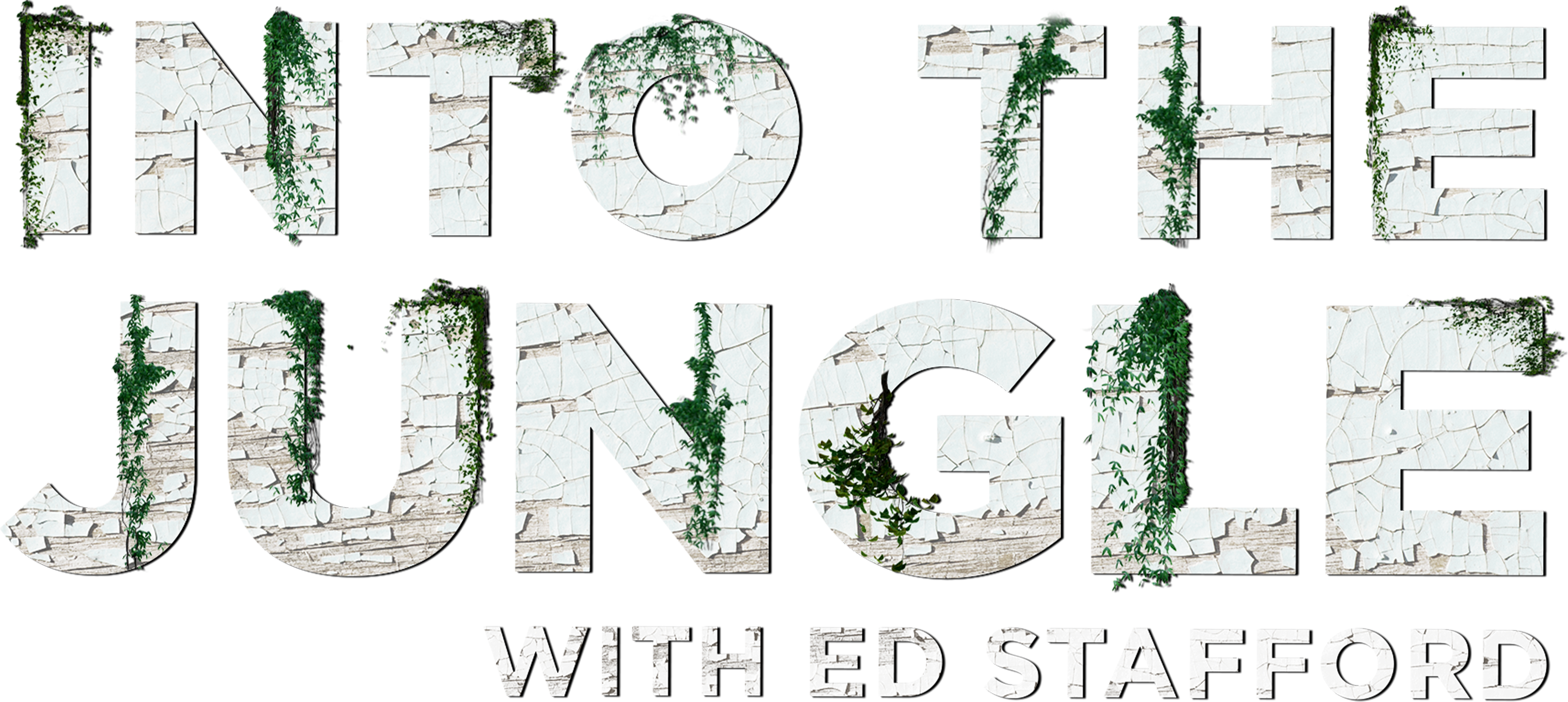 Into the Jungle with Ed Stafford series logo