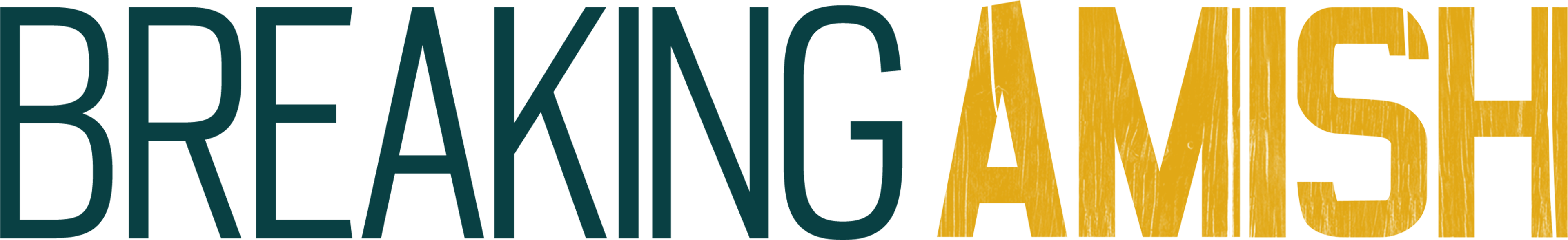 بريكنغ أميش series logo