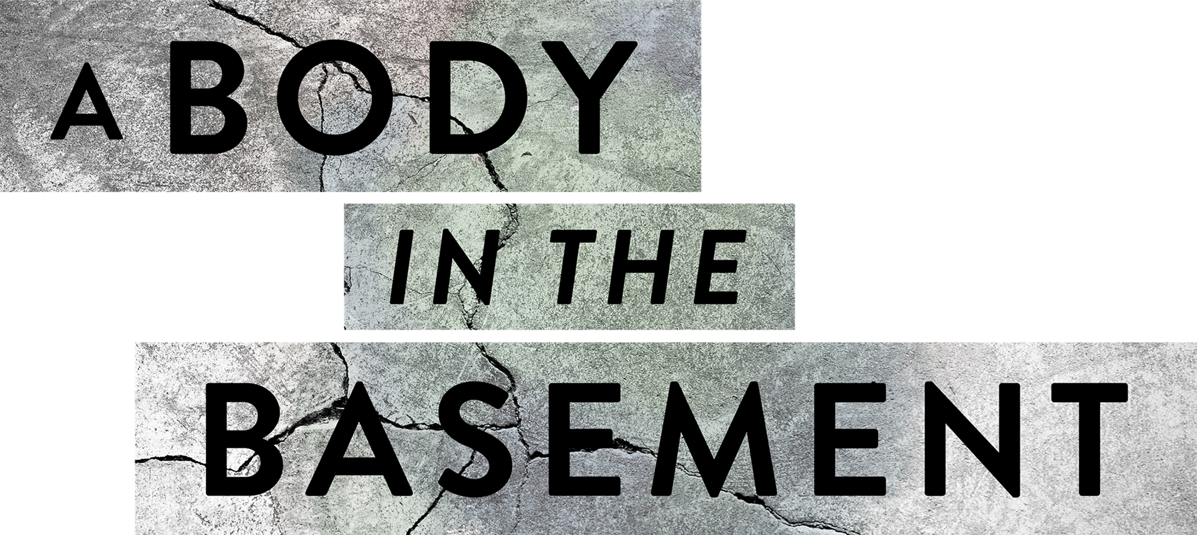 A Body in the Basement series logo