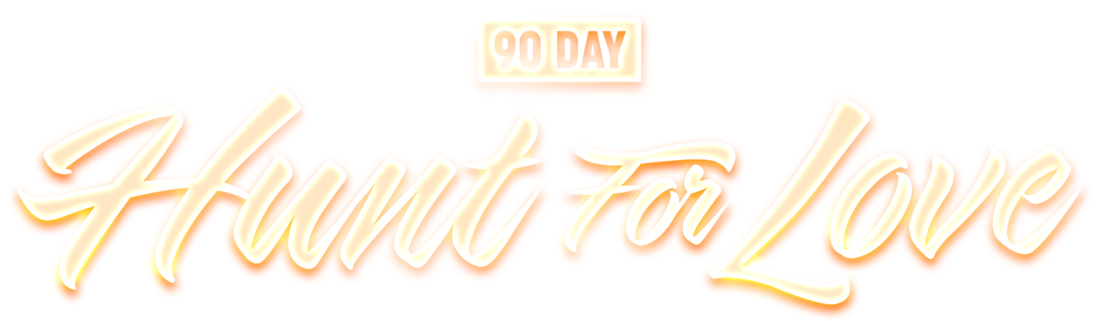 90 Day: Hunt For Love series logo