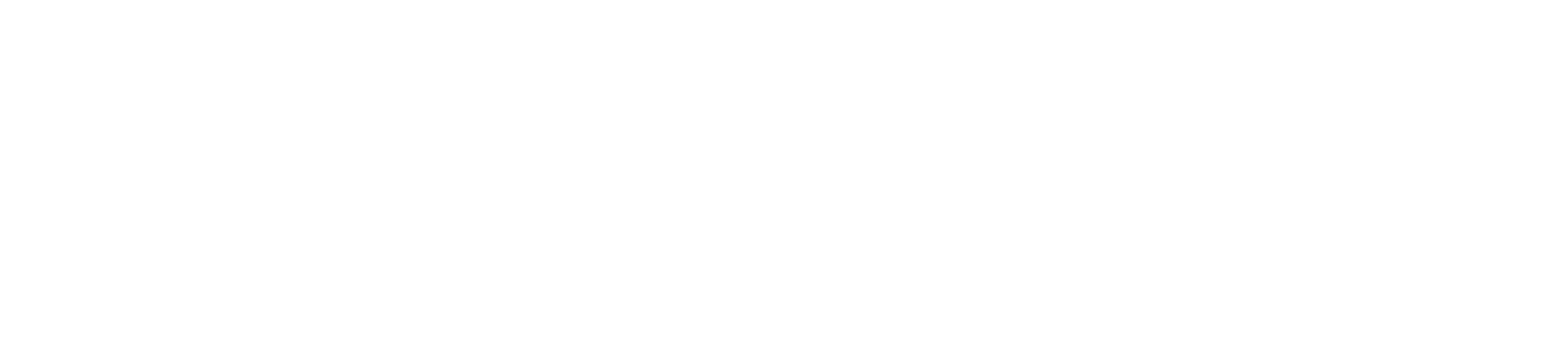 The Last Party: Death on Tresco series logo