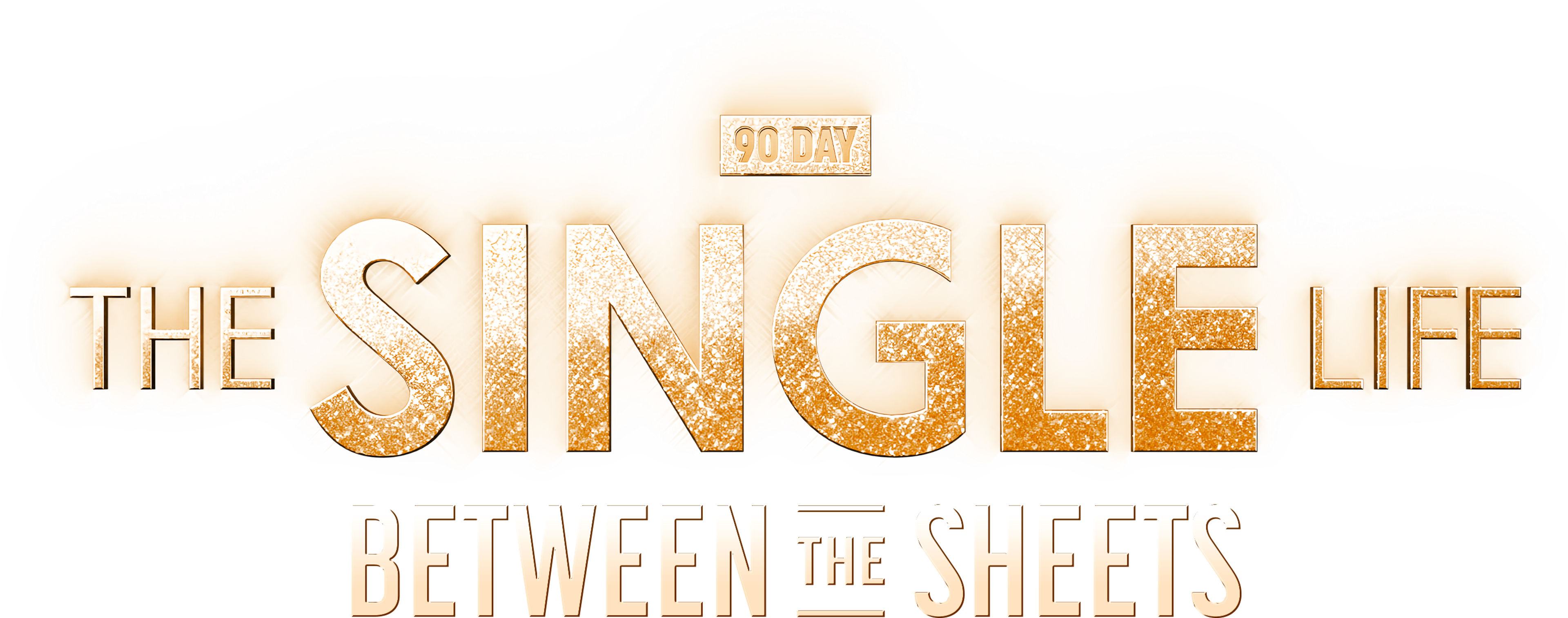 90 داي: ذا سنجل لايف: بتوين ذا شيتس series logo
