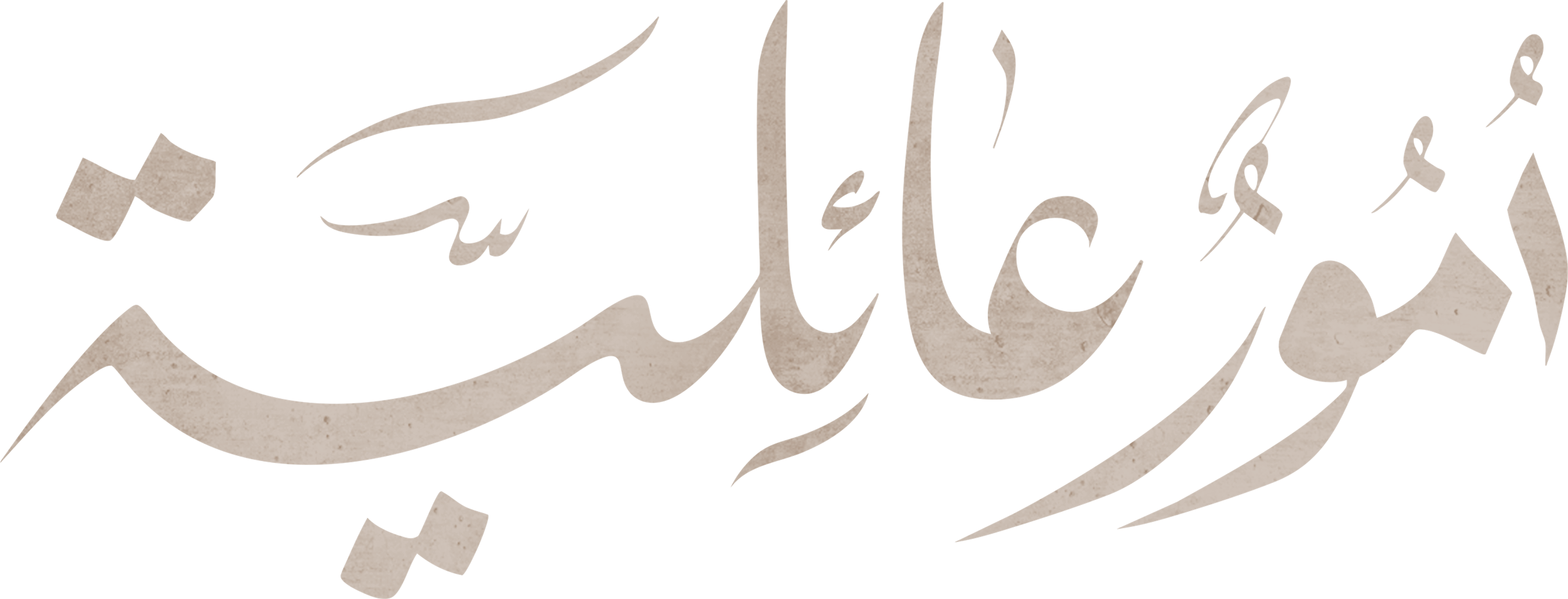 أمور عائلية series logo