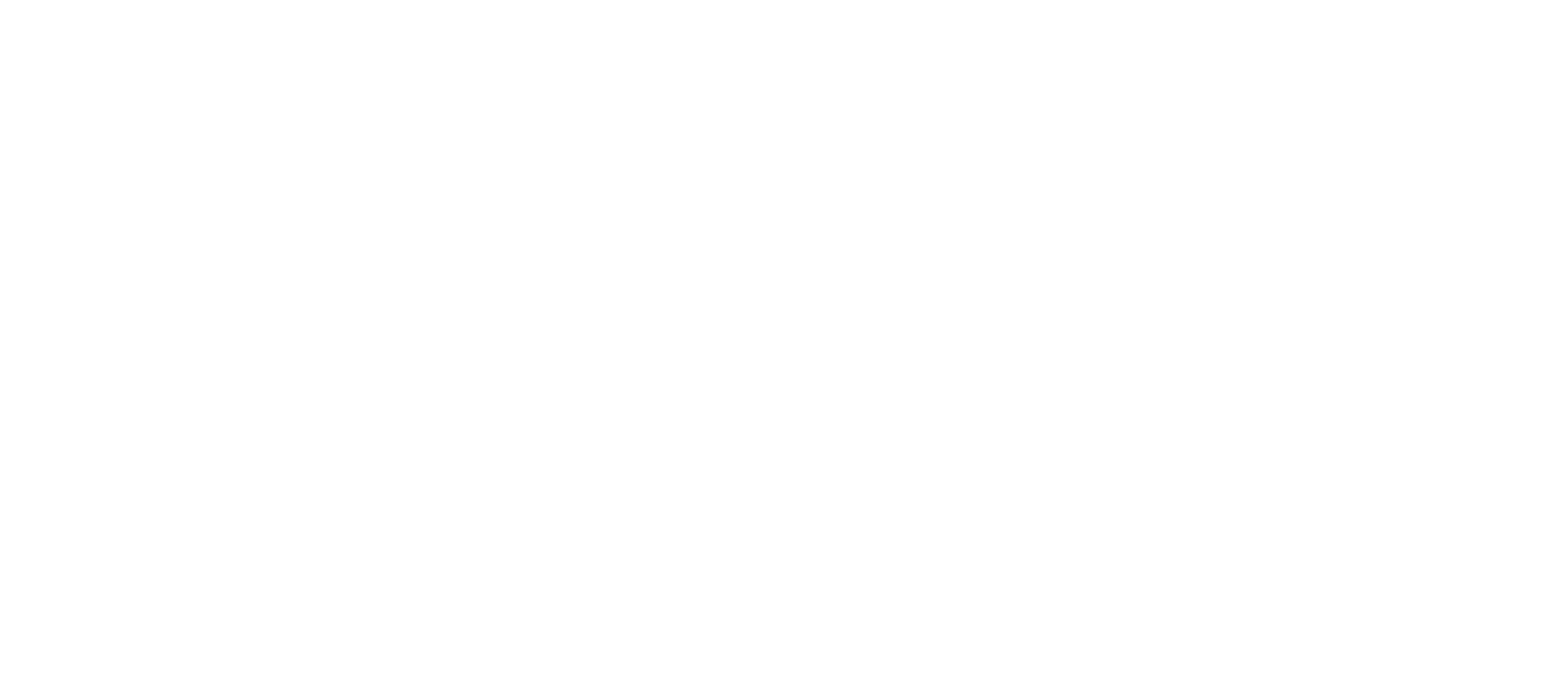 Botched Homes series logo