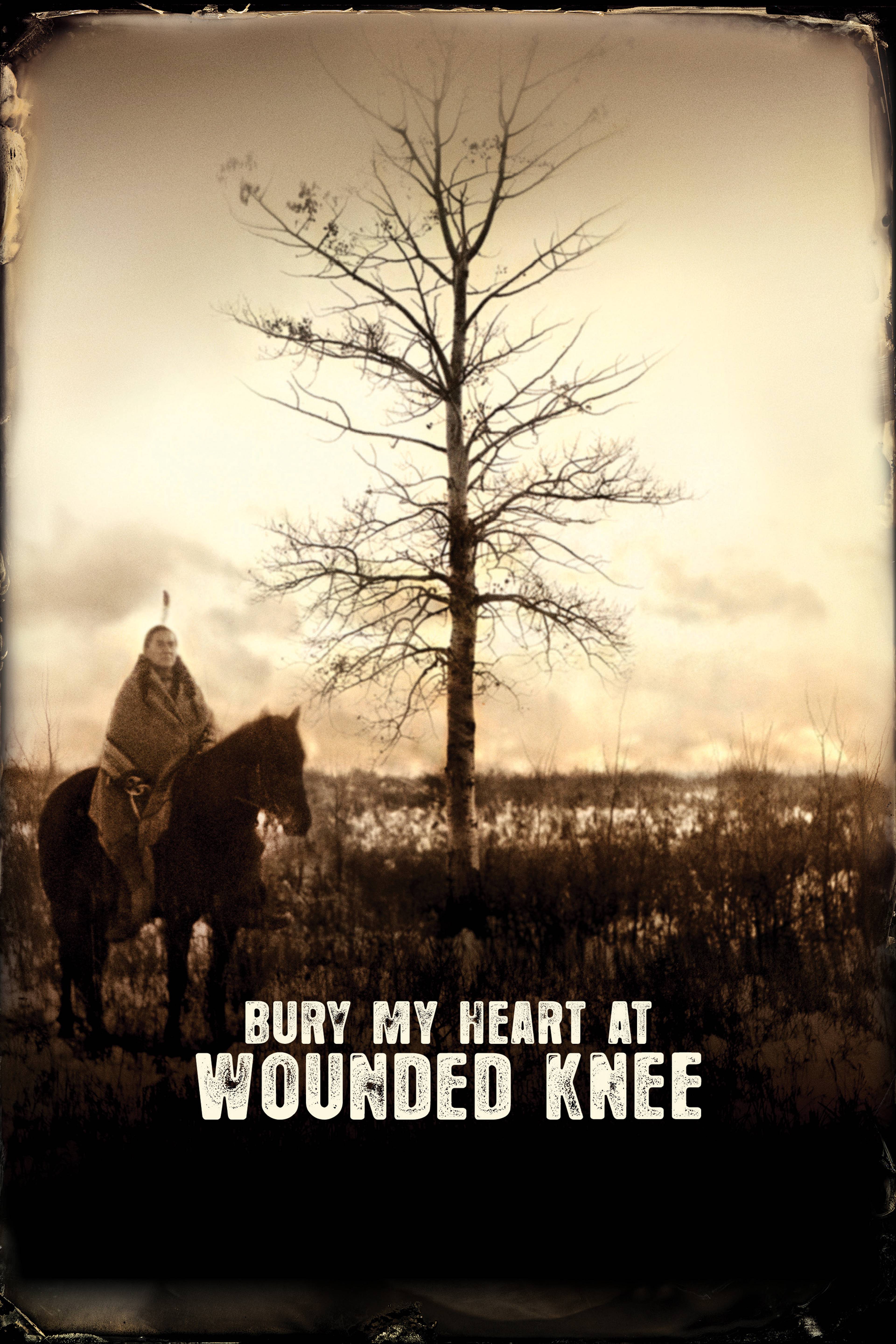 Bury My Heart At Wounded Knee