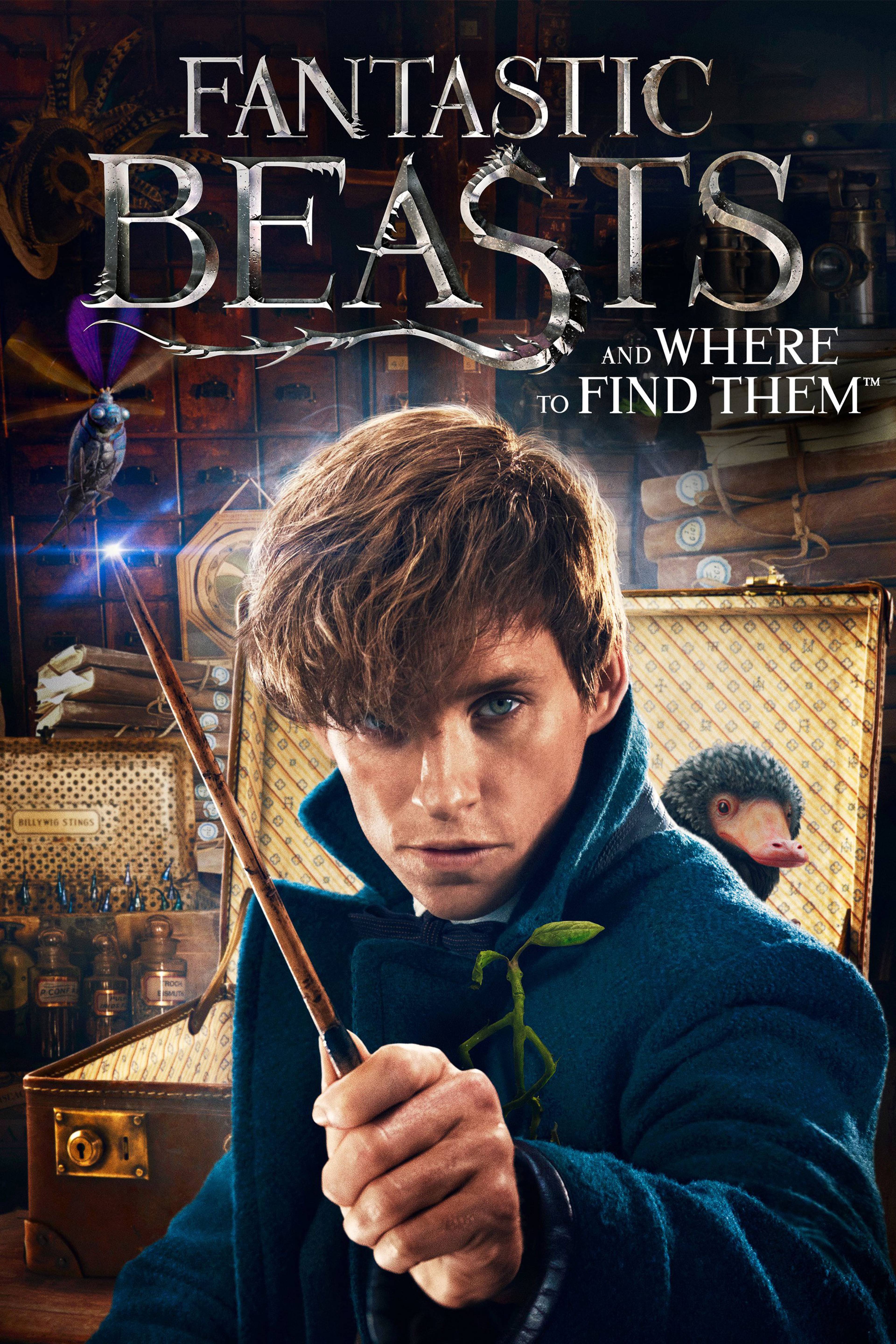 Fantastic Beasts And Where To Find Them