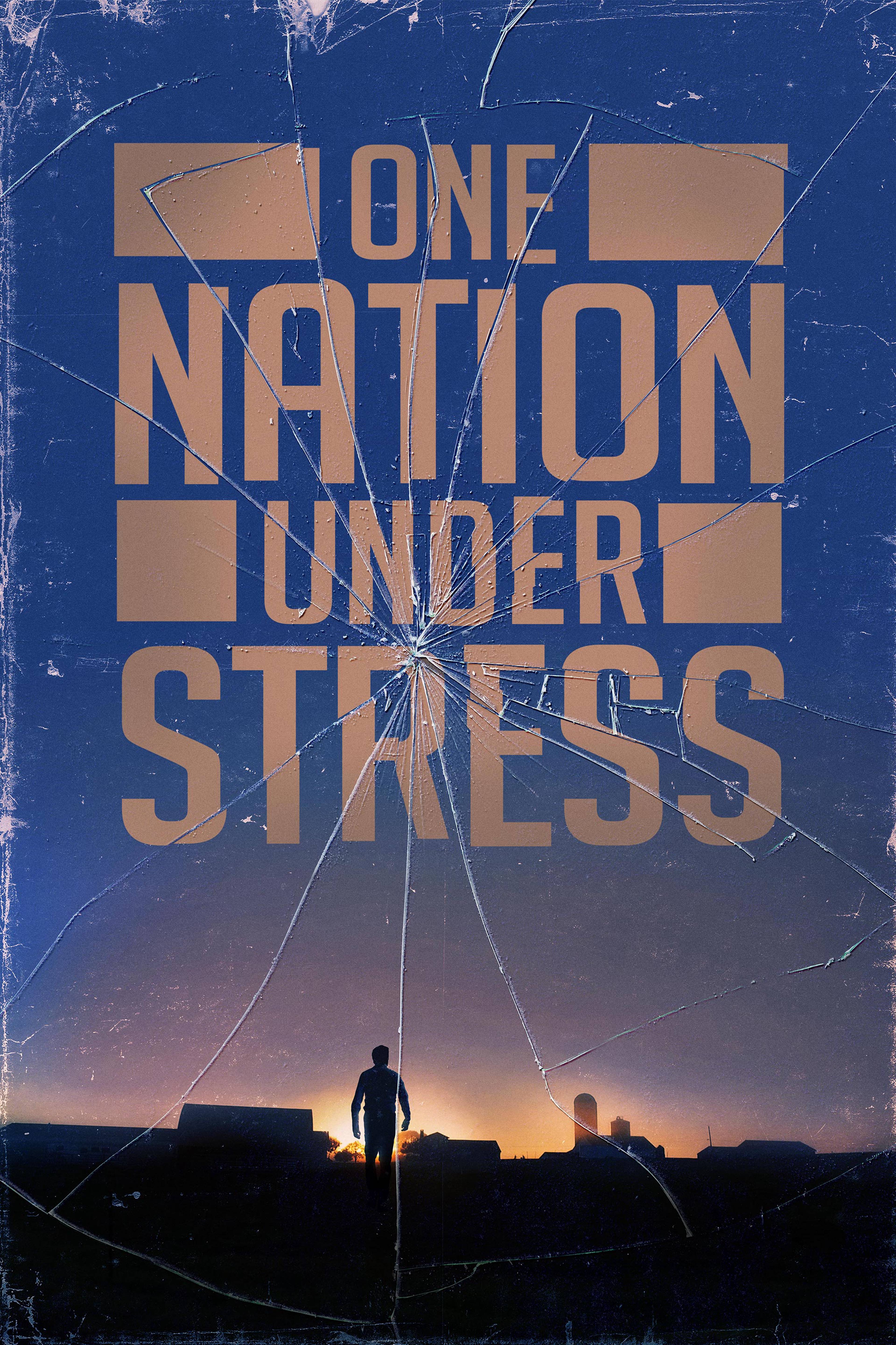 One Nation Under Stress
