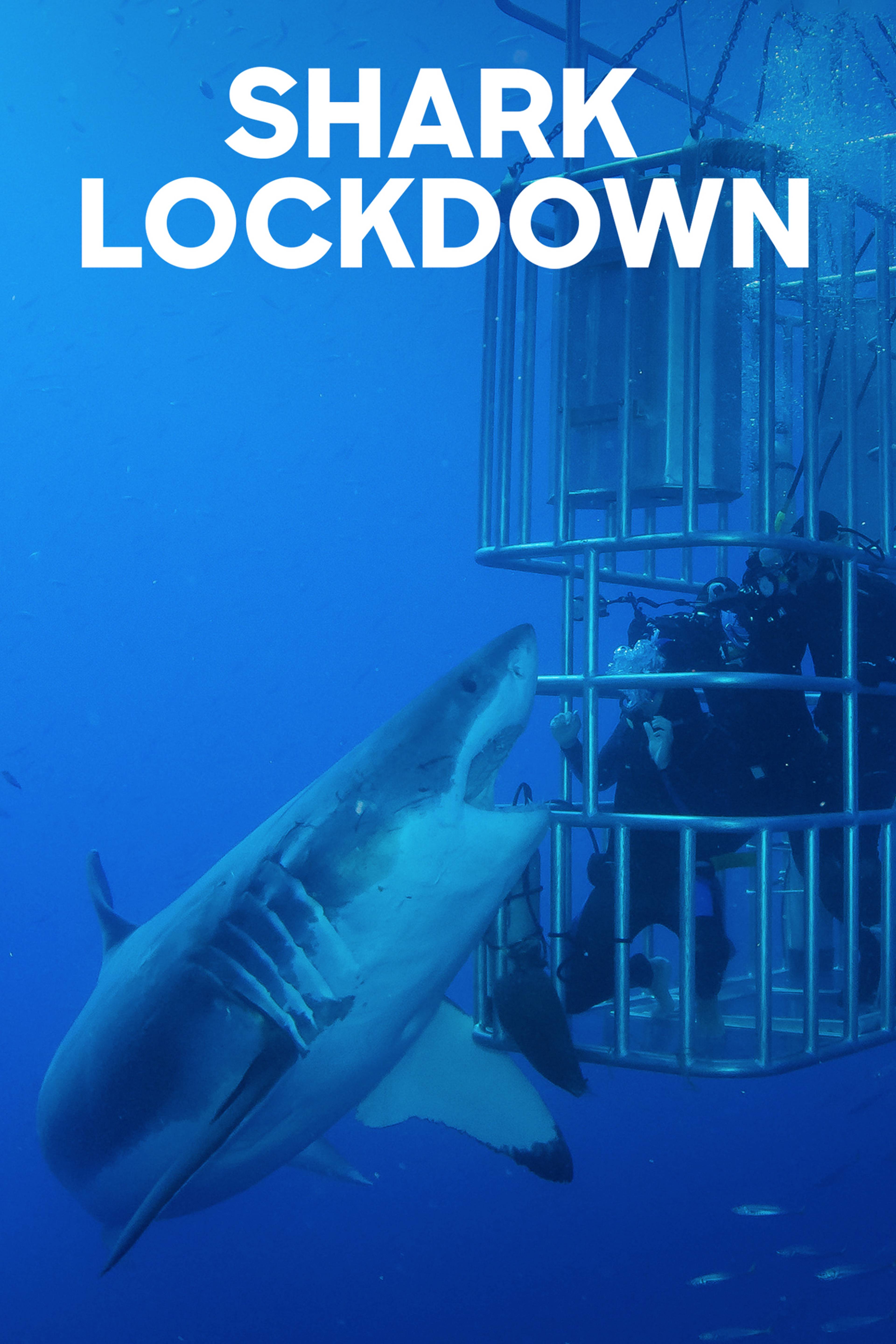 Shark Lockdown