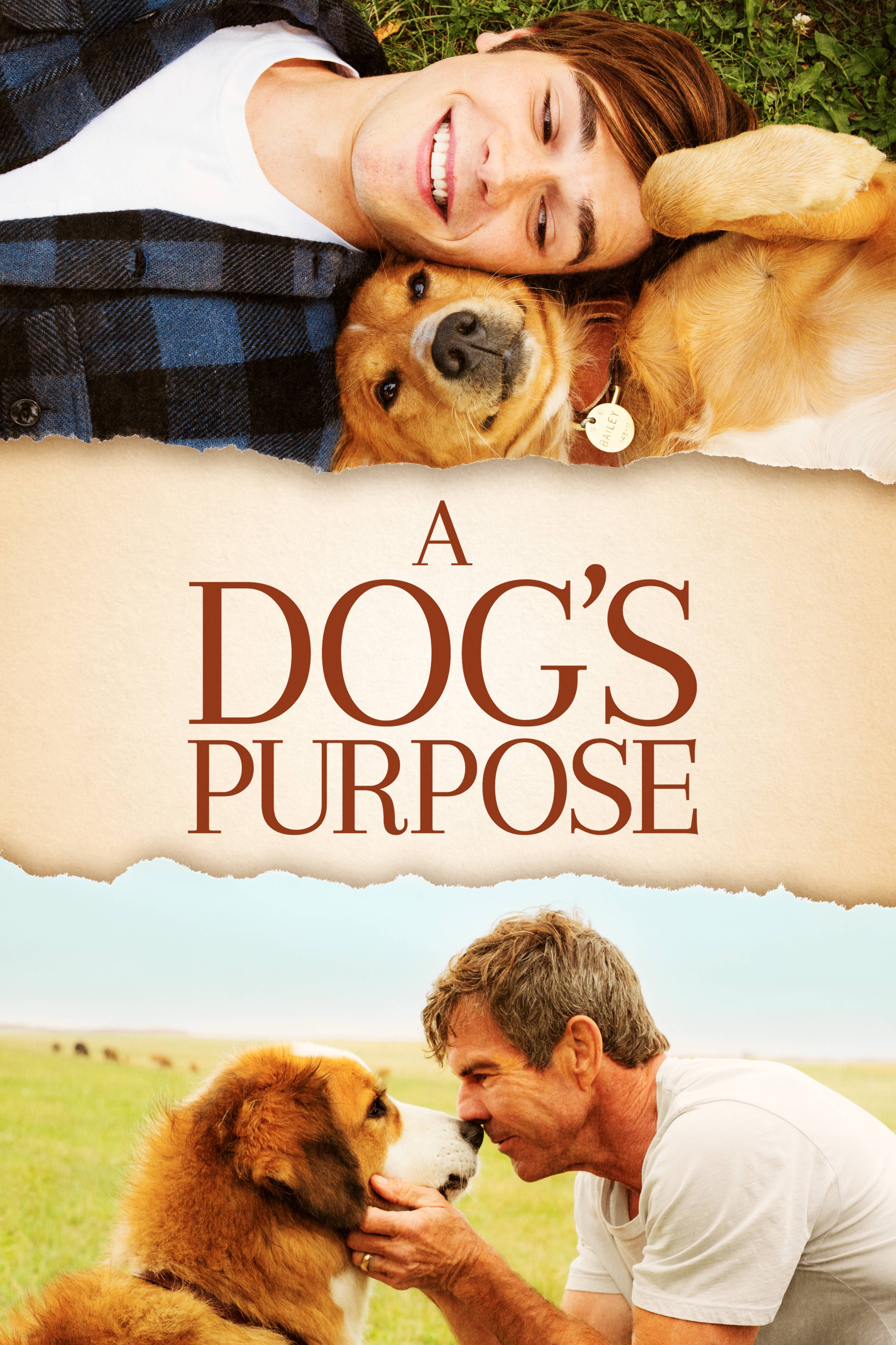 A Dog's Purpose