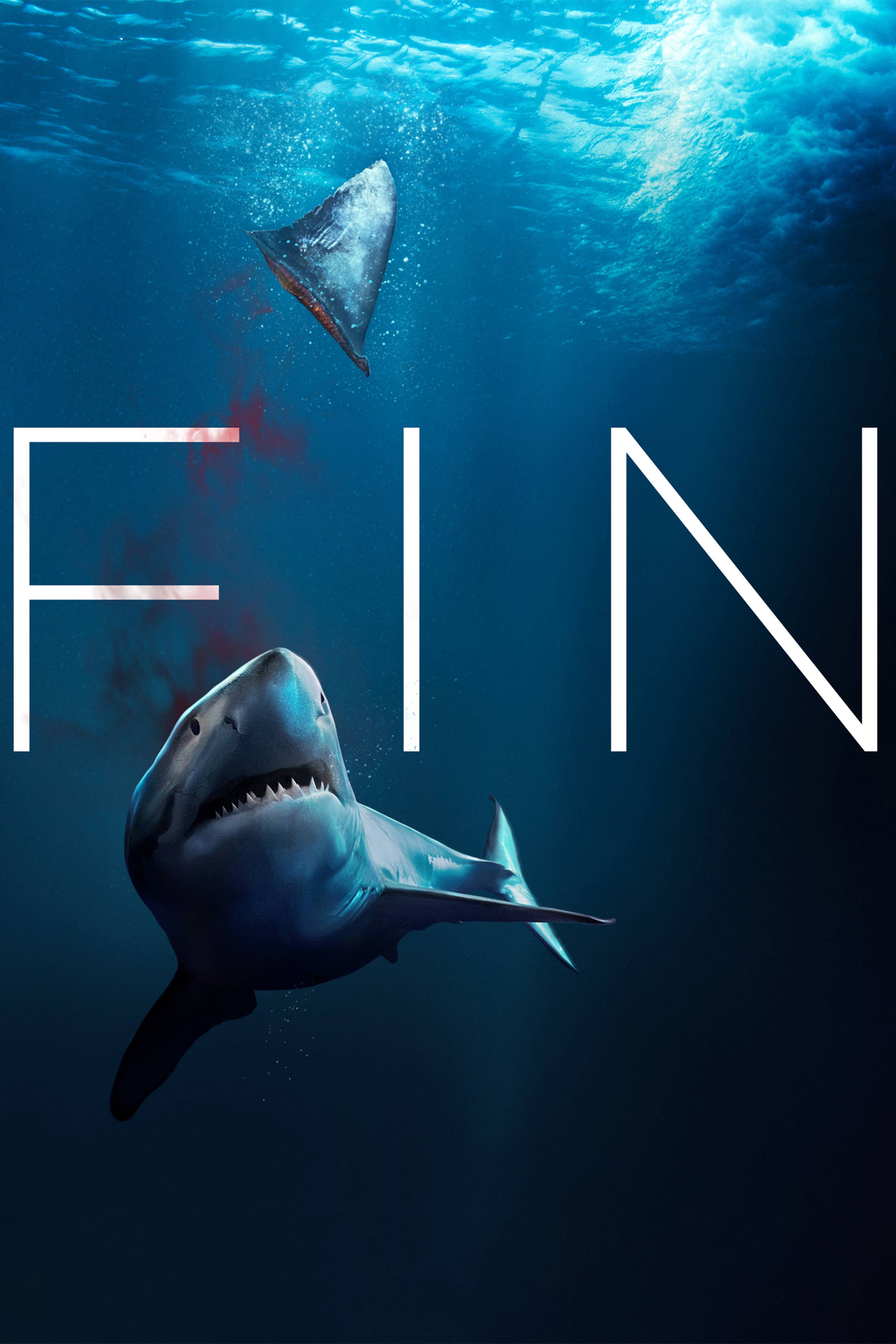 Fin