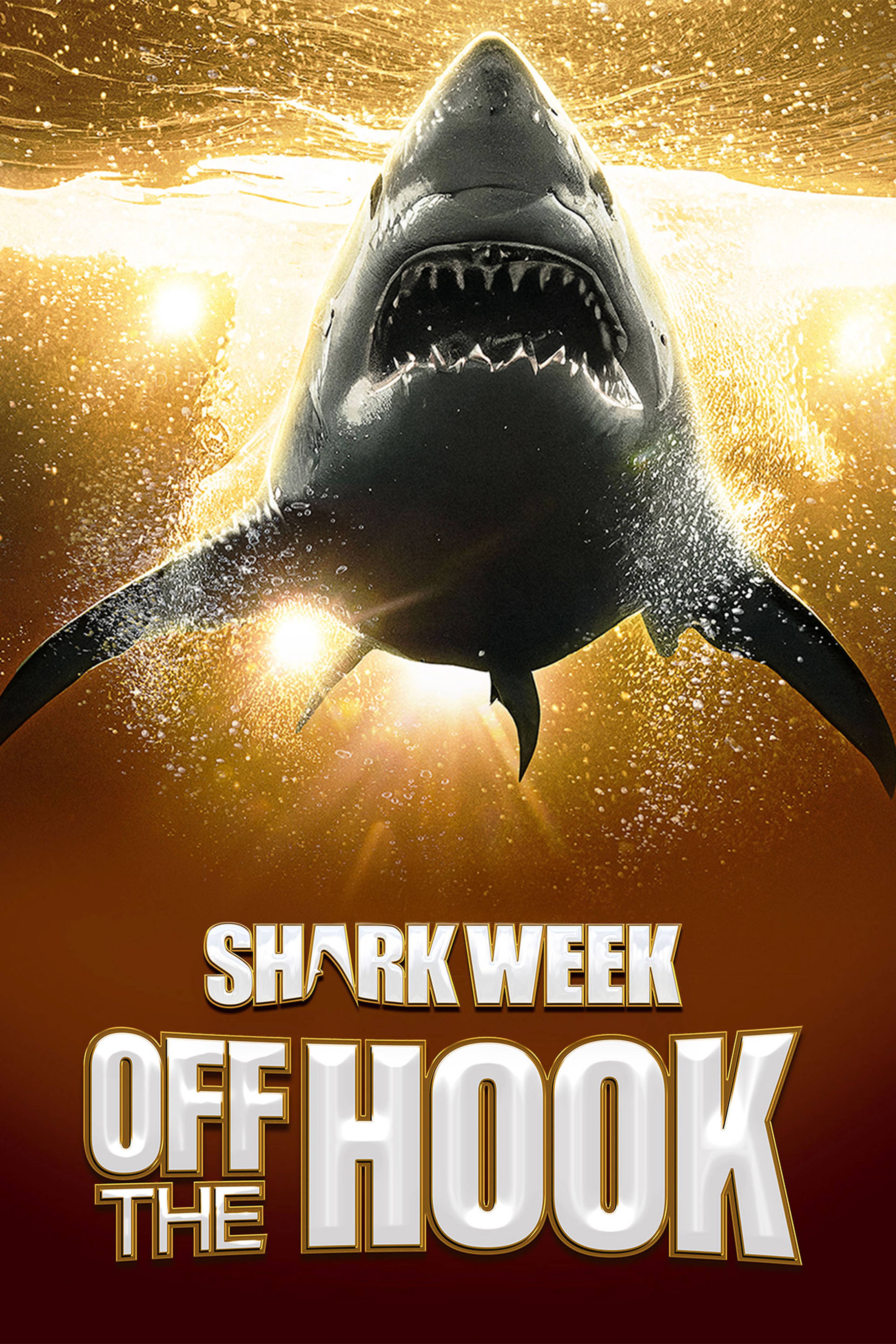 Shark Week: Off The Hook