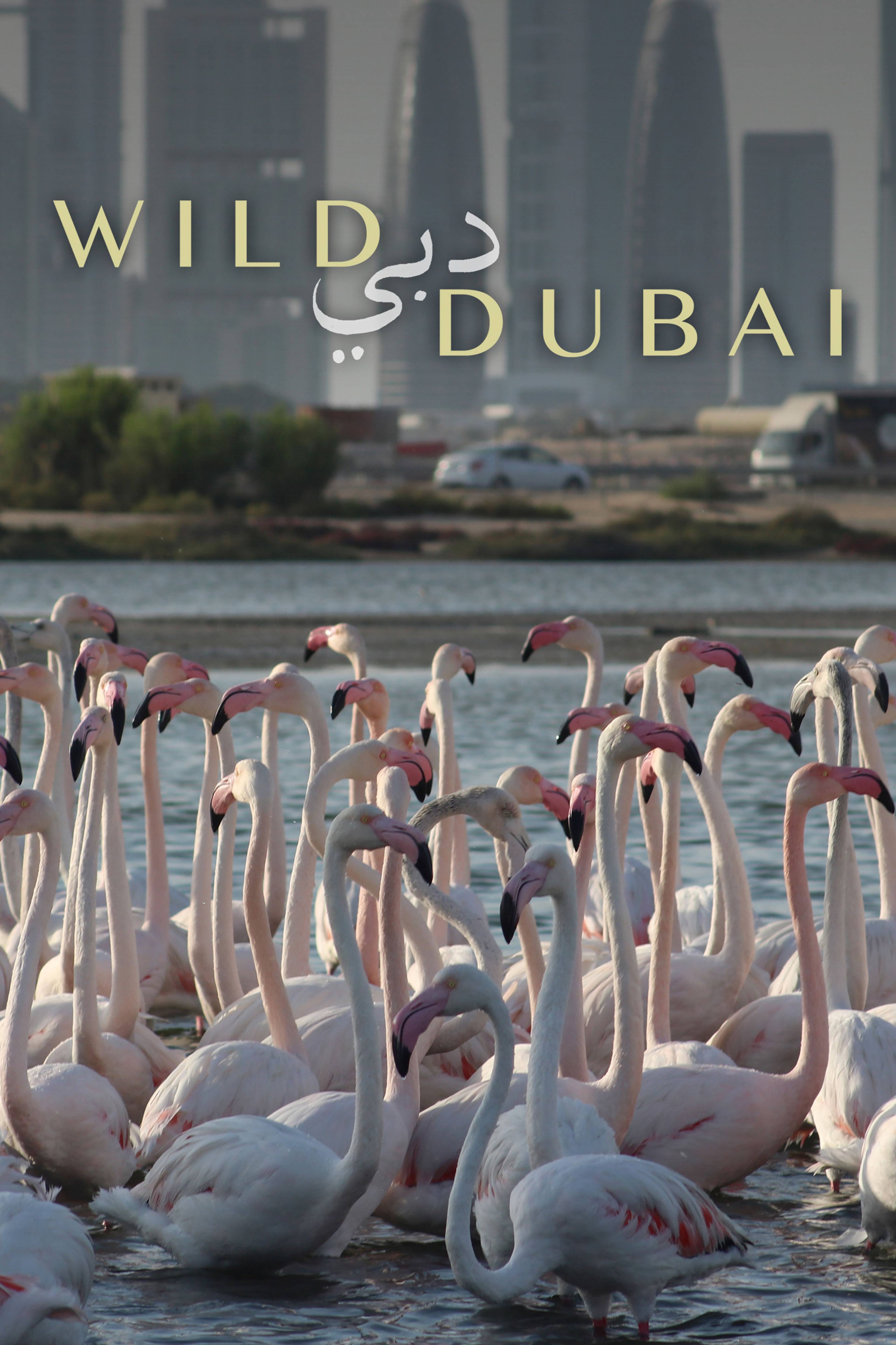 Wild Dubai