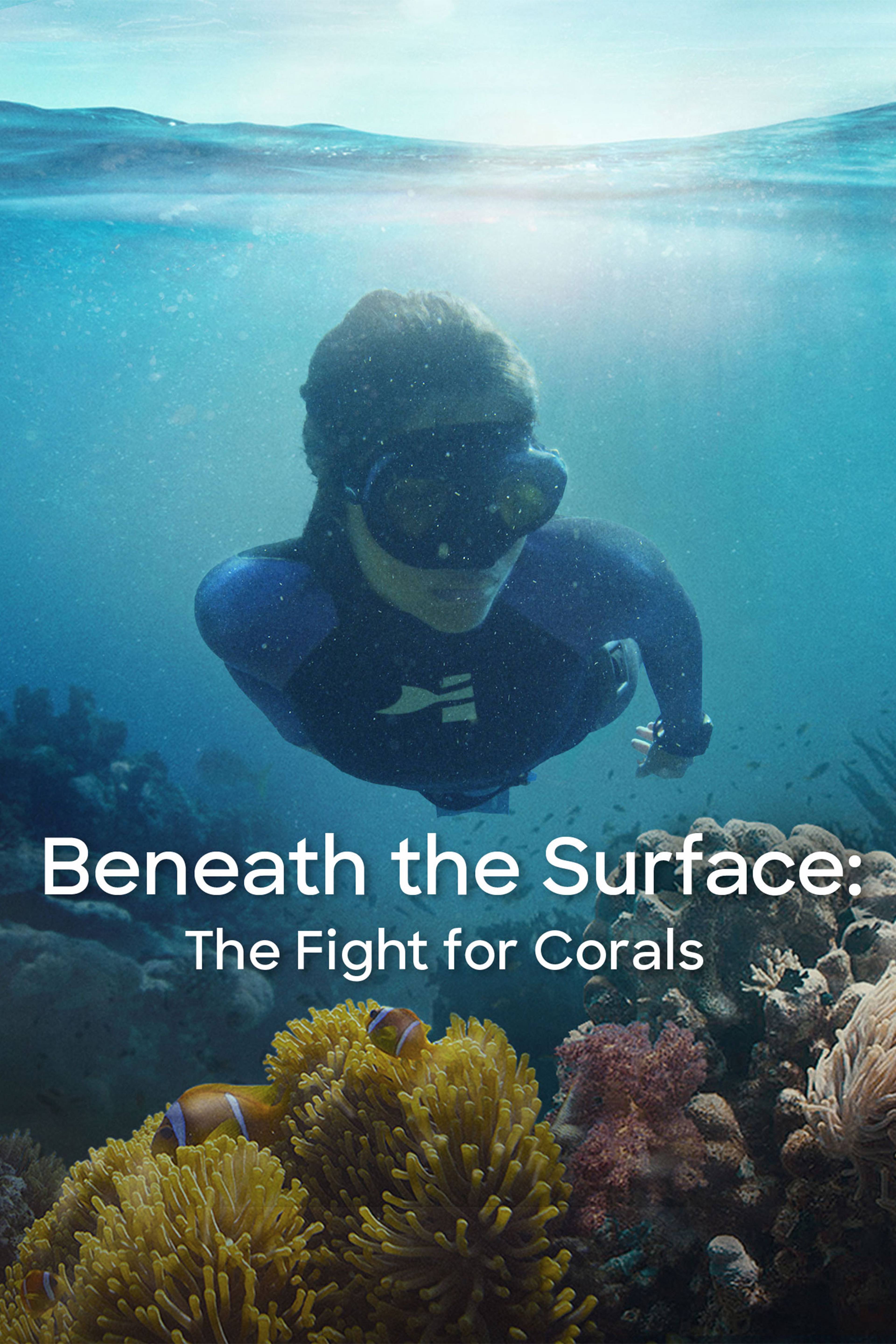 Beneath The Surface: The Fight For Coral
