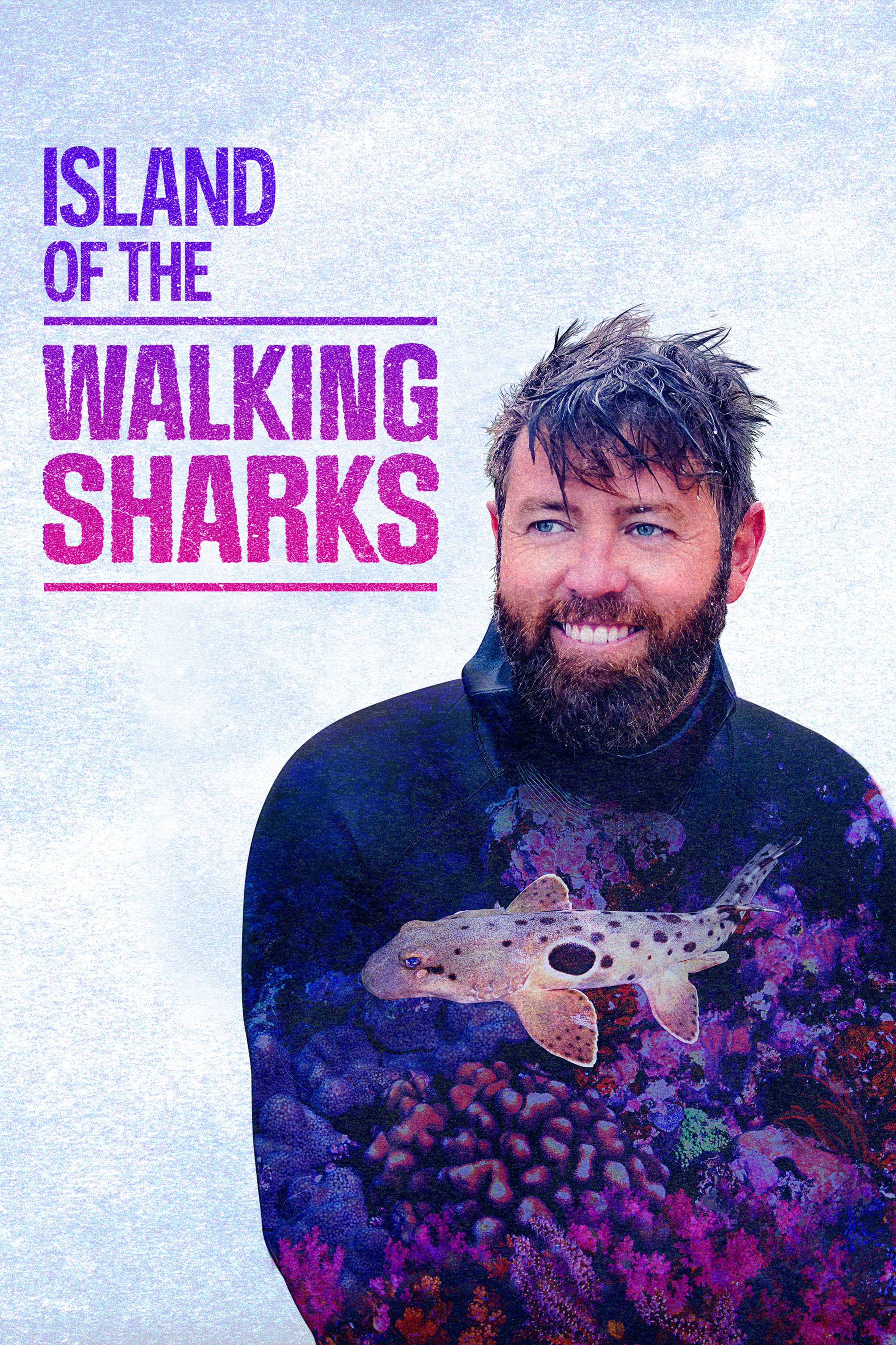 Island Of The Walking Sharks