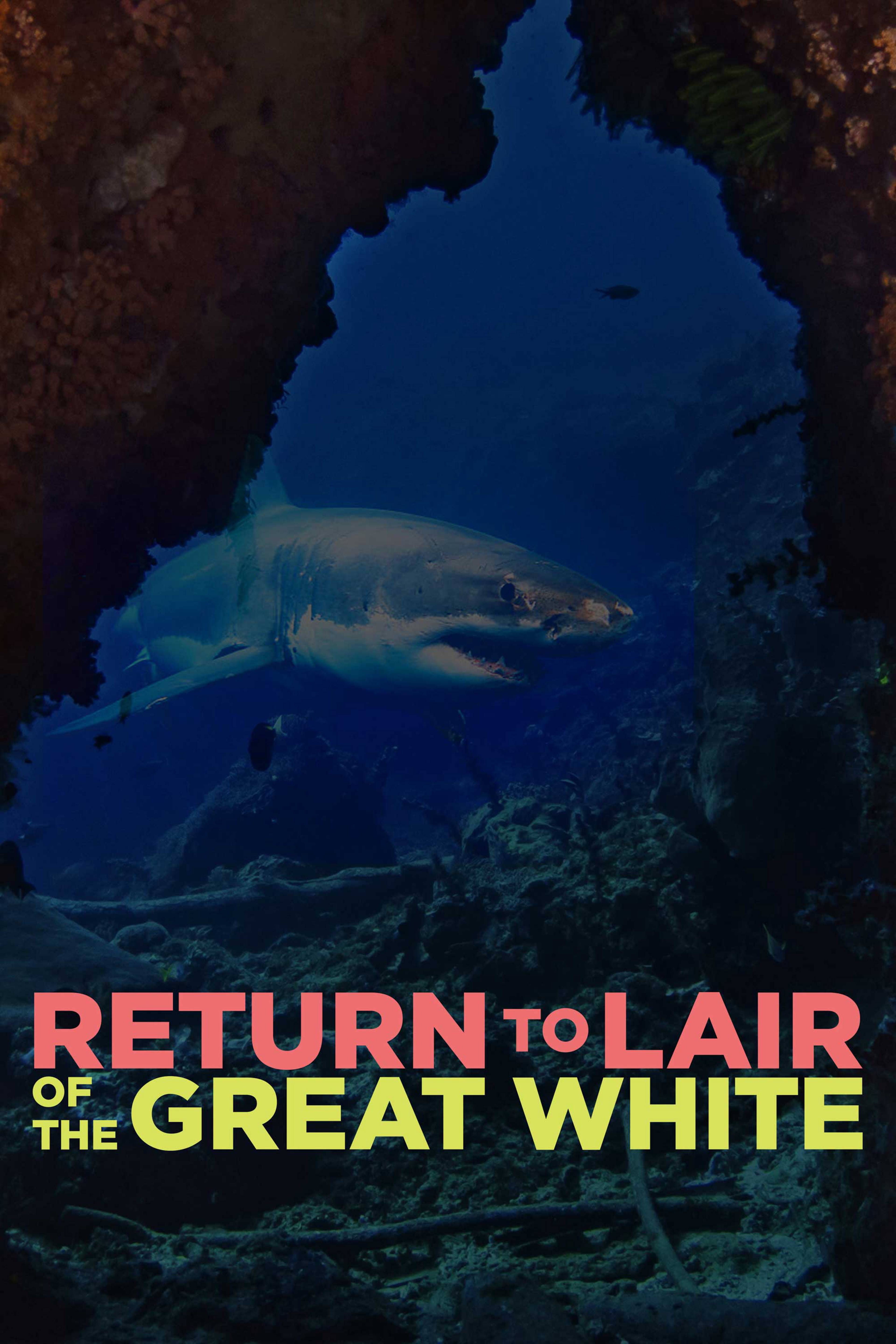 Return To Lair Of The Great White