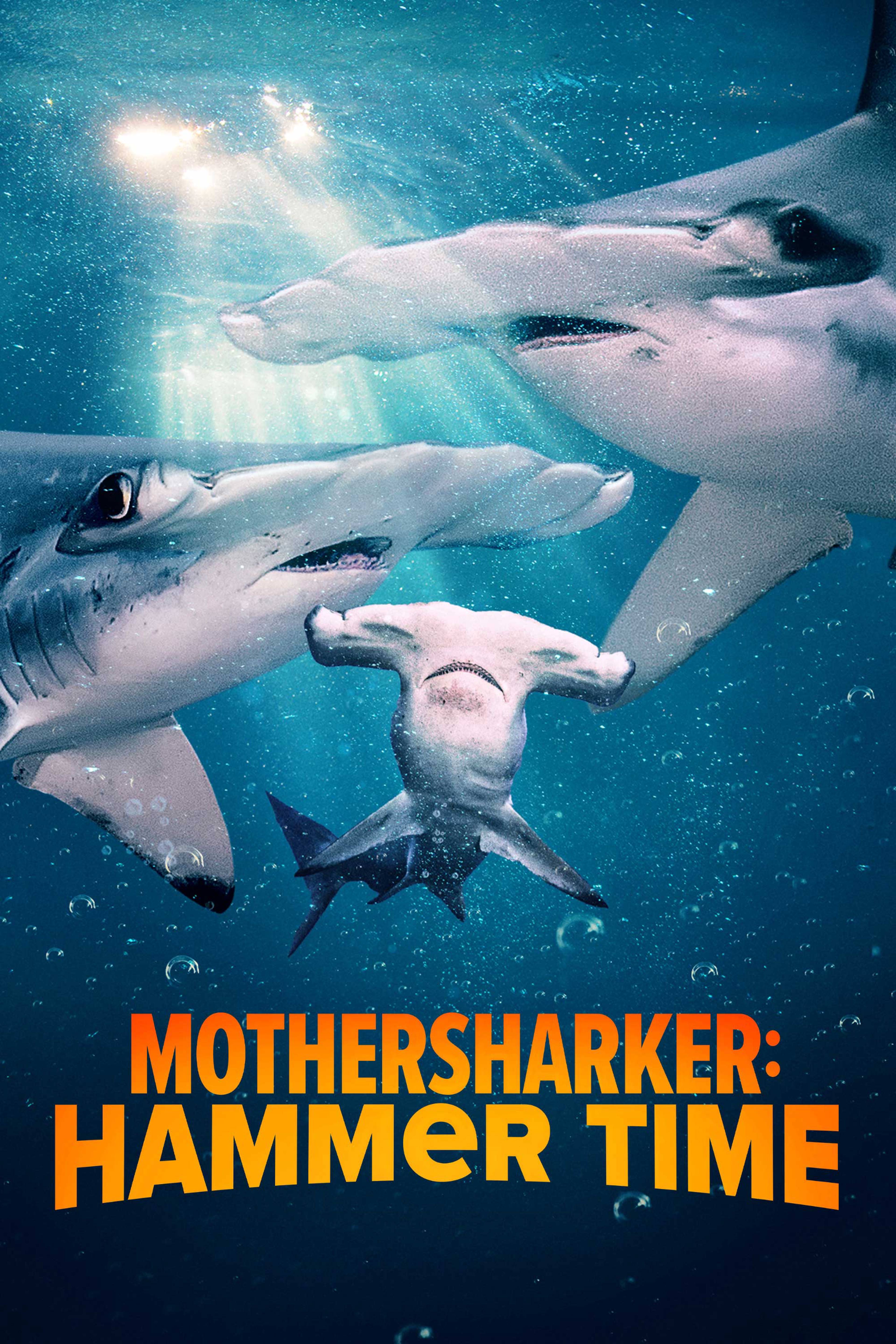 MotherSharker: Hammer Time