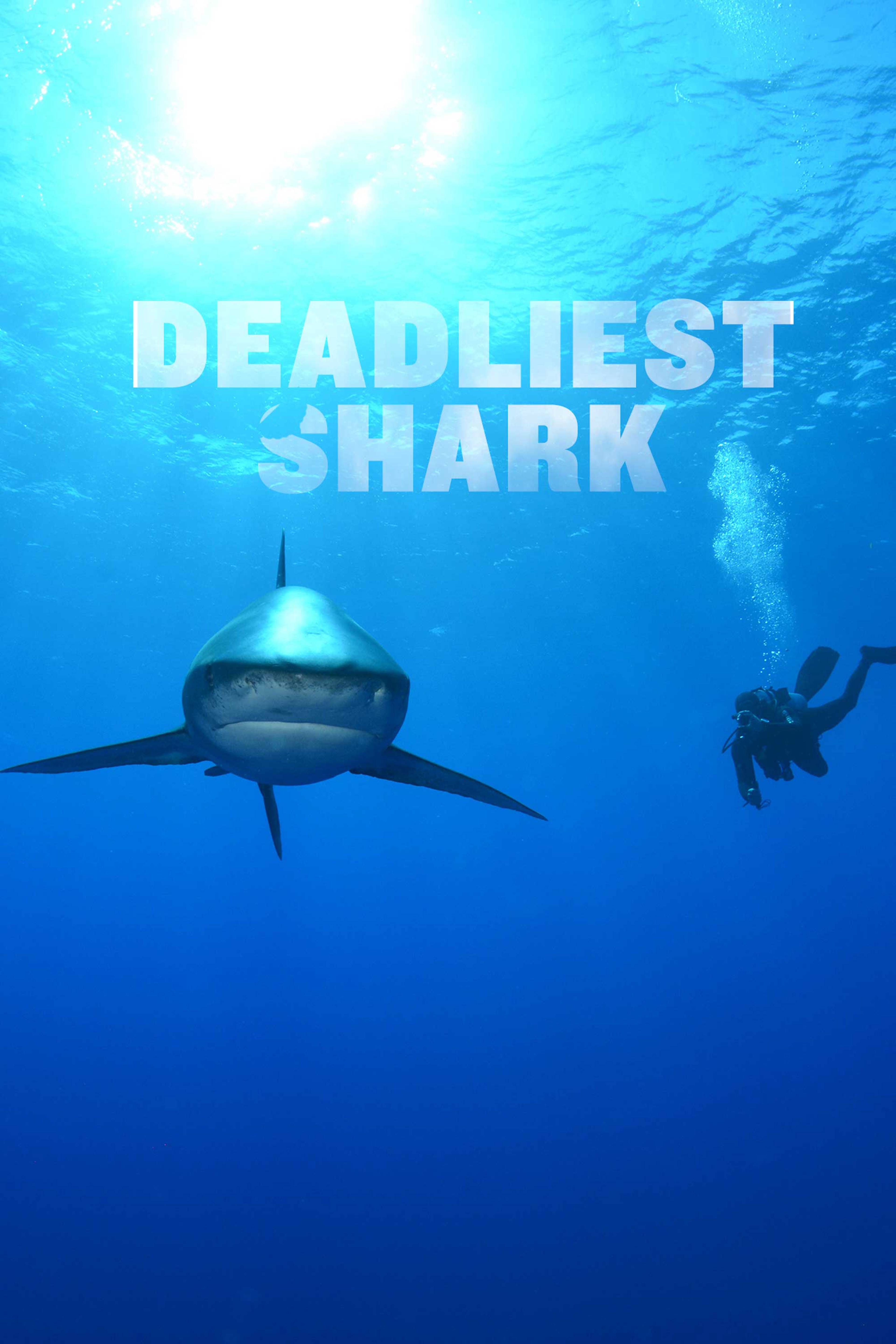 Deadliest Sharks