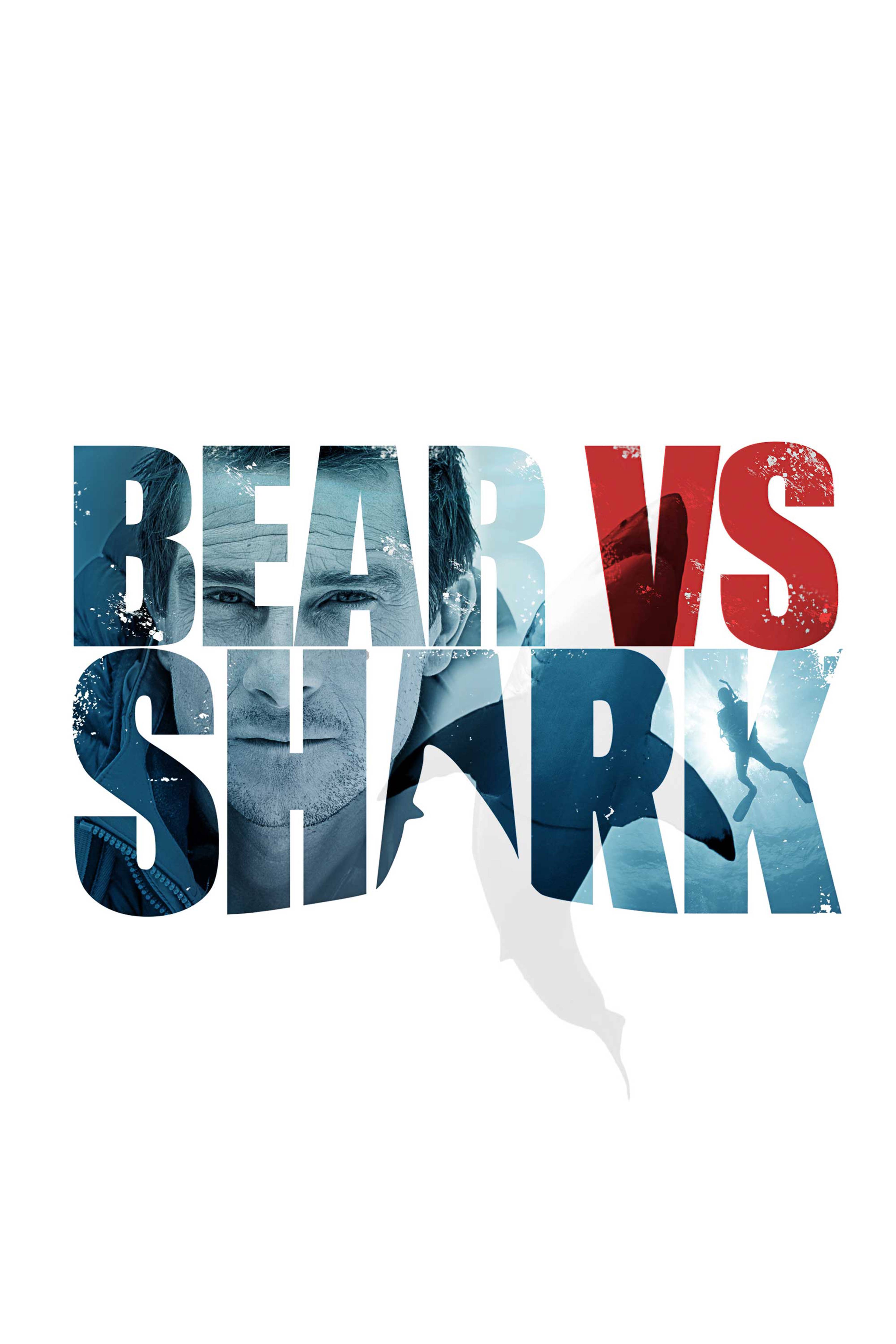 Bear Vs. Shark