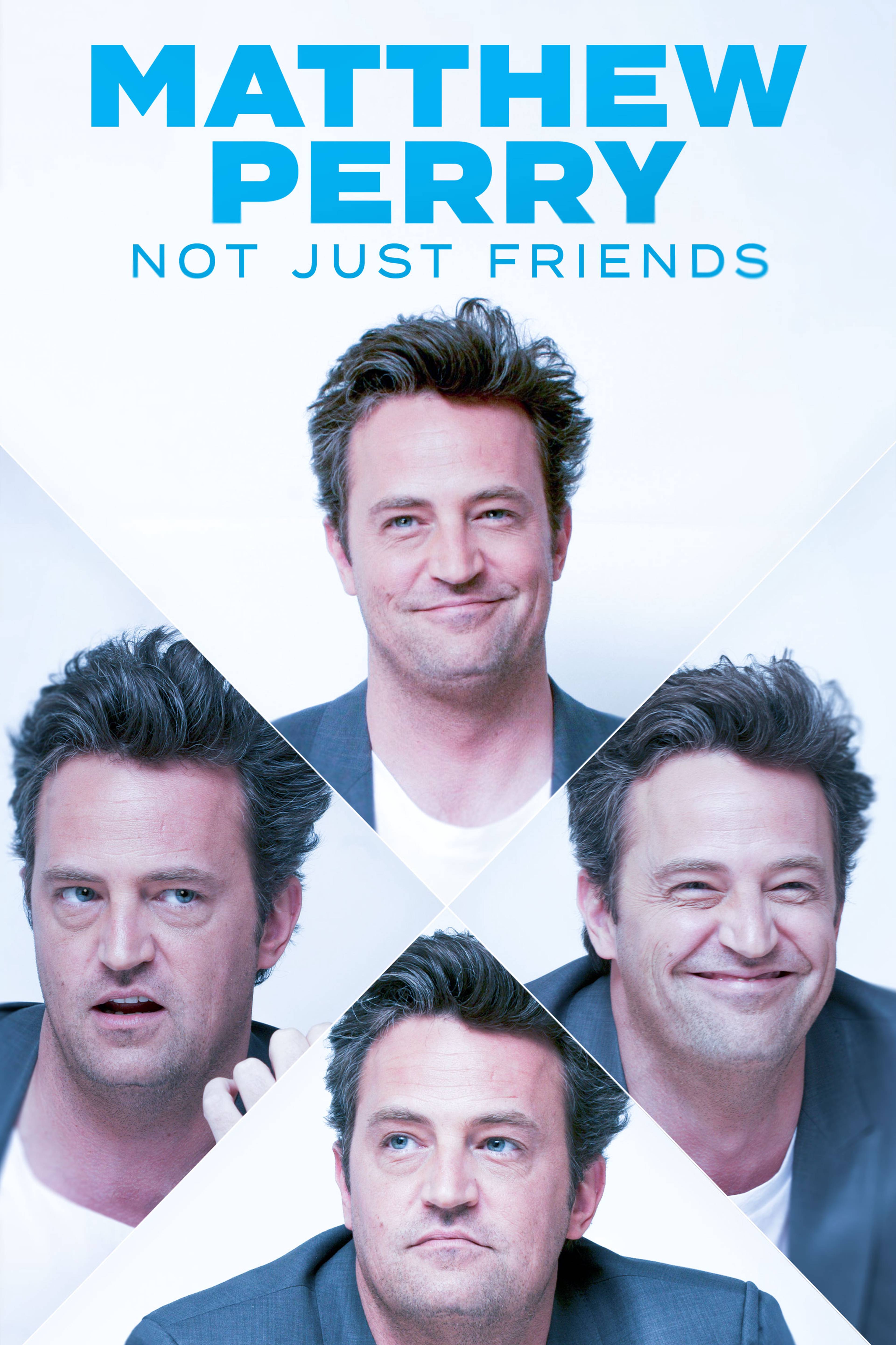 Matthew Perry: Not Just Friends