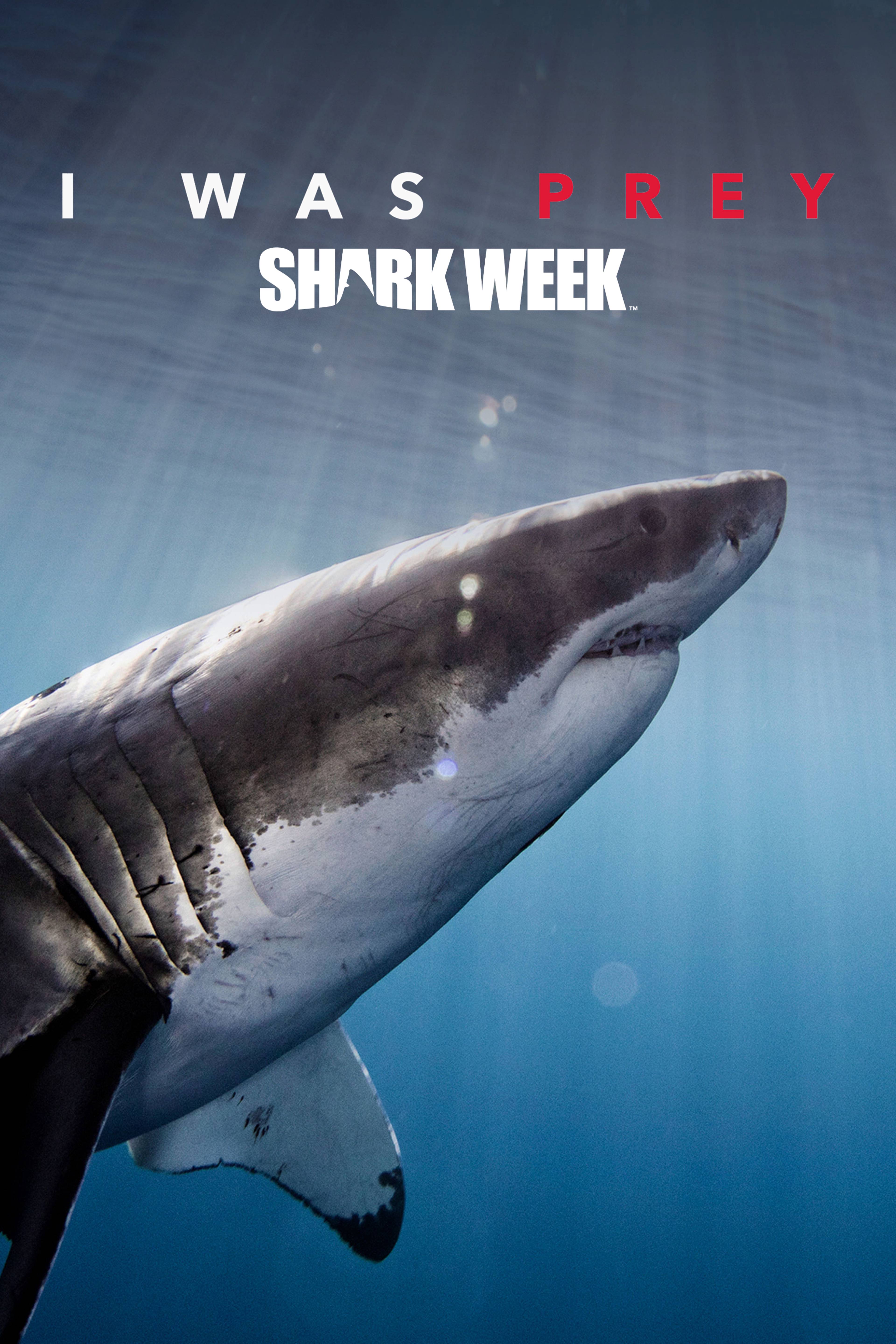 I Was Prey: Shark Week