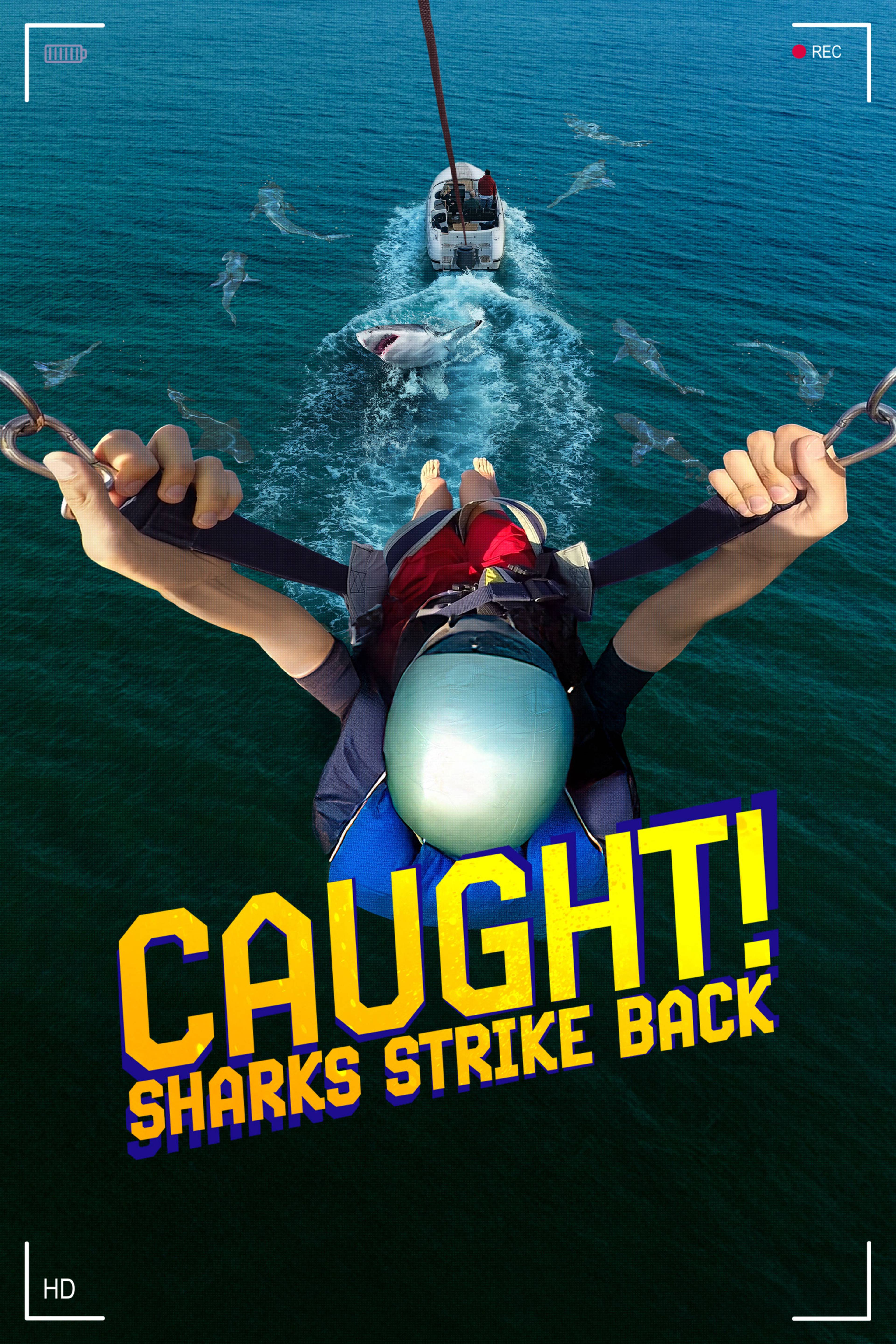 Caught! Sharks Strike Back