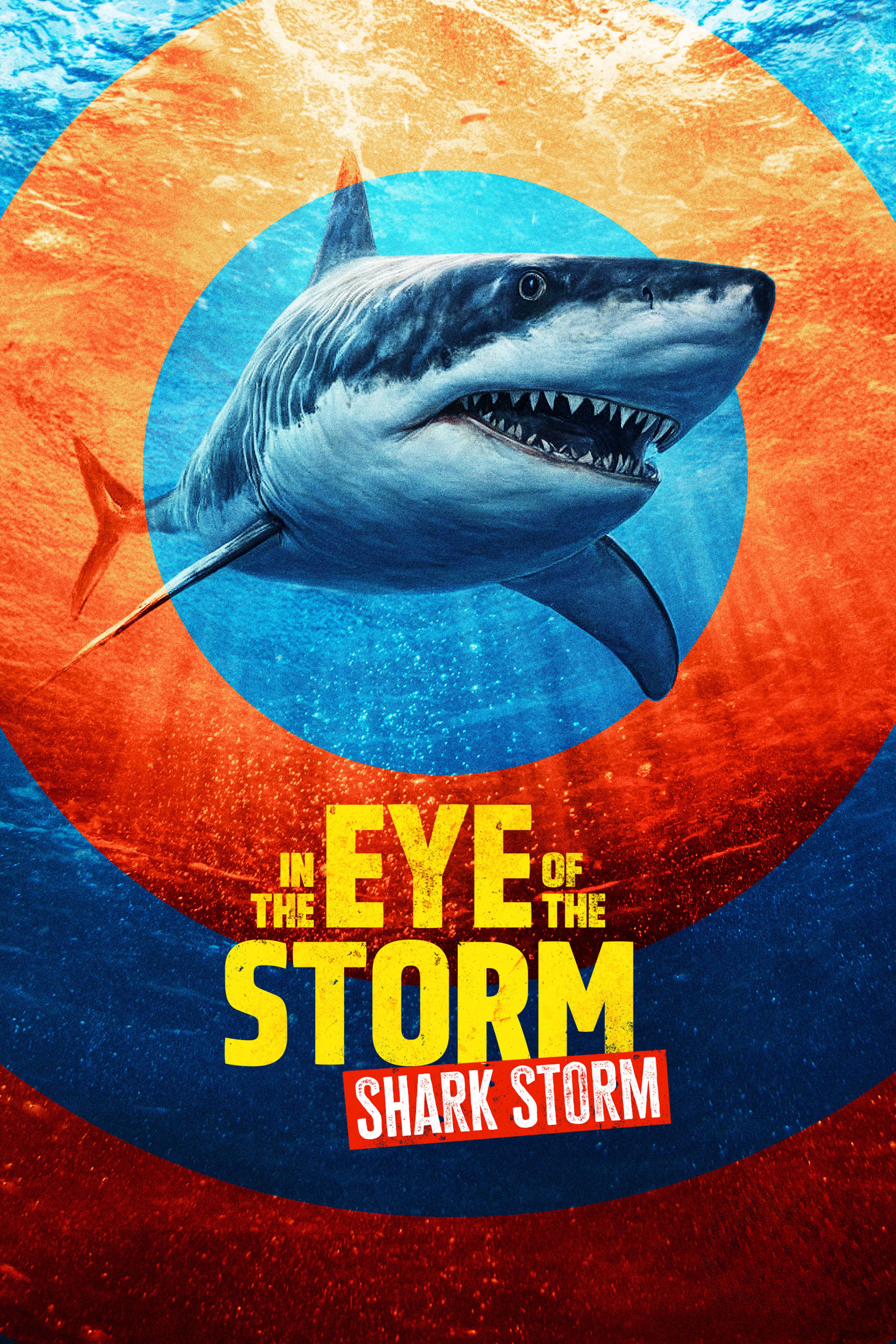 In The Eye Of The Storm: Shark Storm