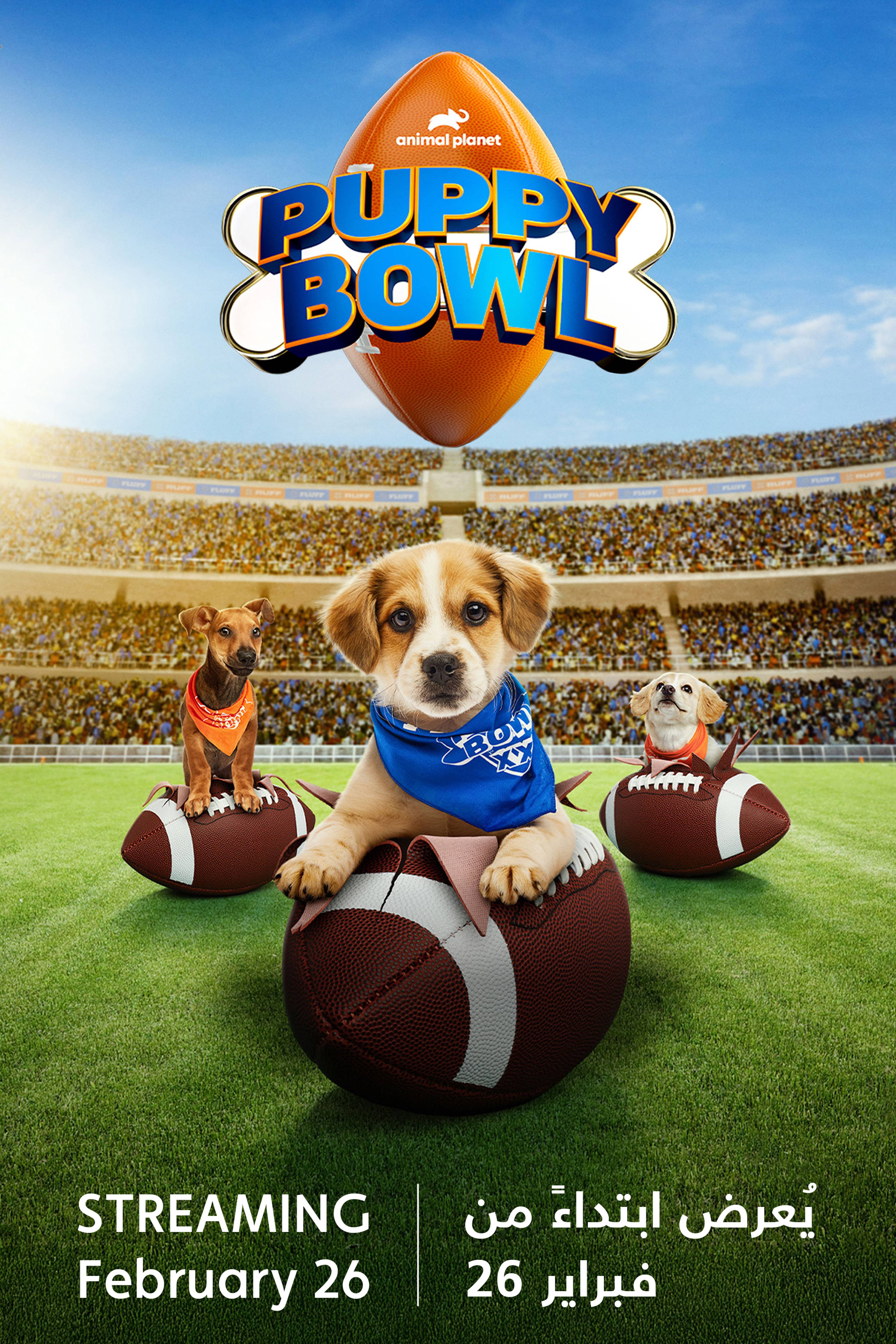 Puppy Bowl XXII - Coming Soon