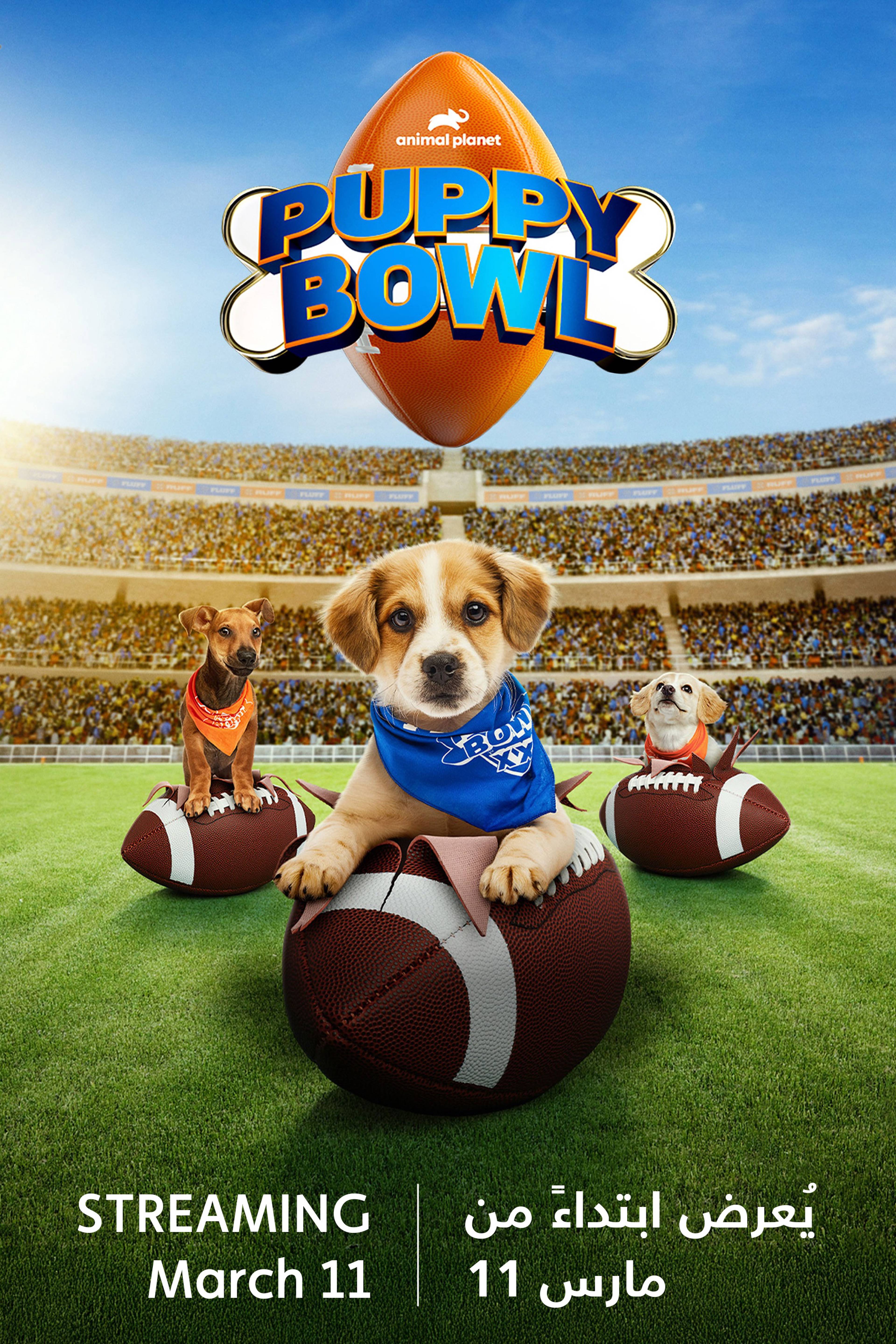 Puppy Bowl XXII -  Coming Soon