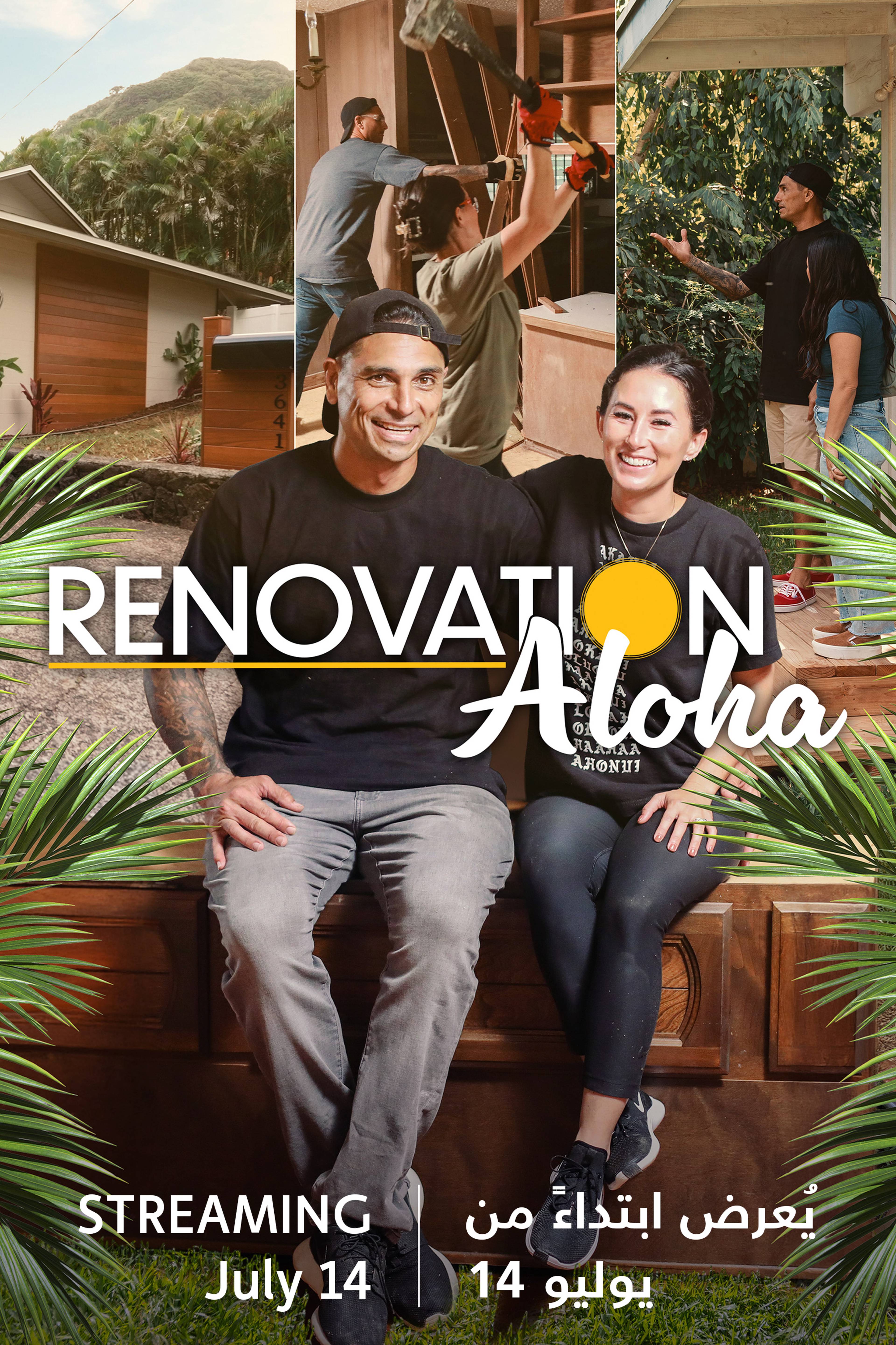 Renovation Aloha S3 - Coming Soon