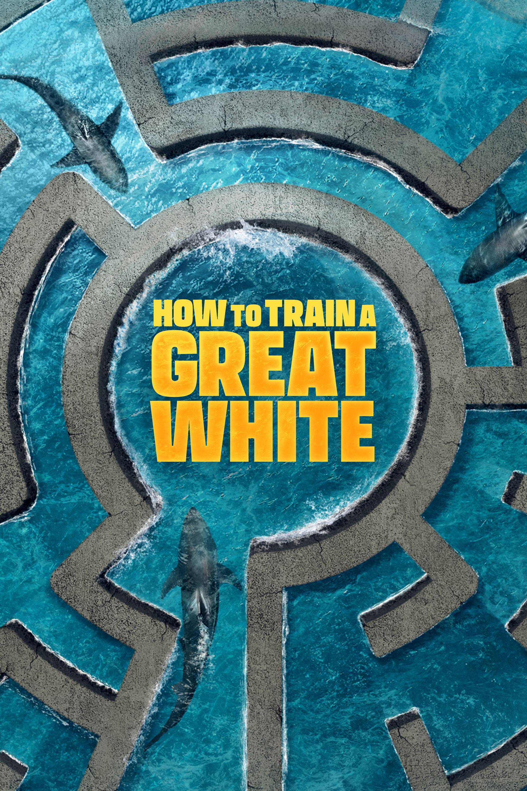How To Train A Great White